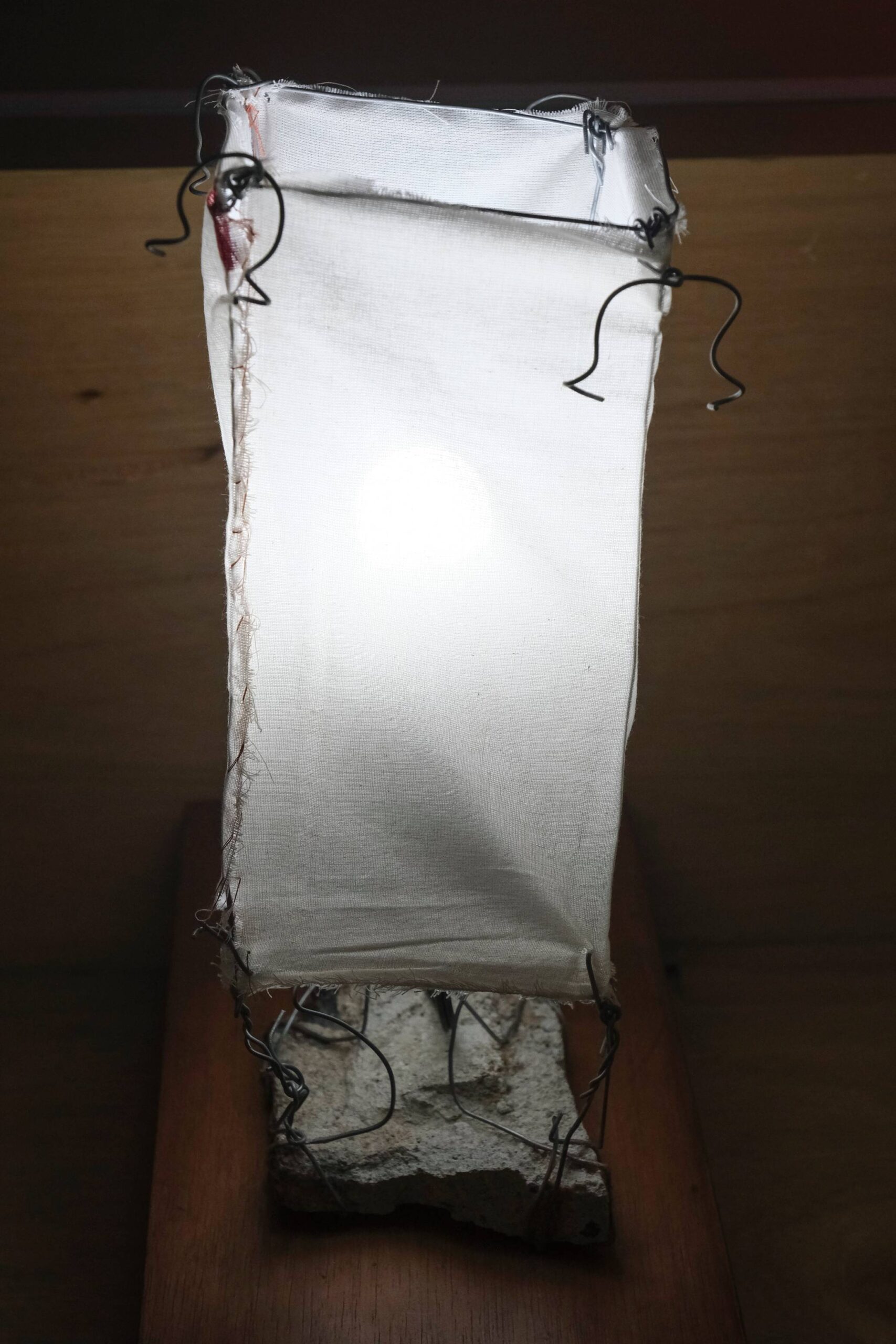 Christal Chung's "Cutiepie." Photo by Ed Simon.