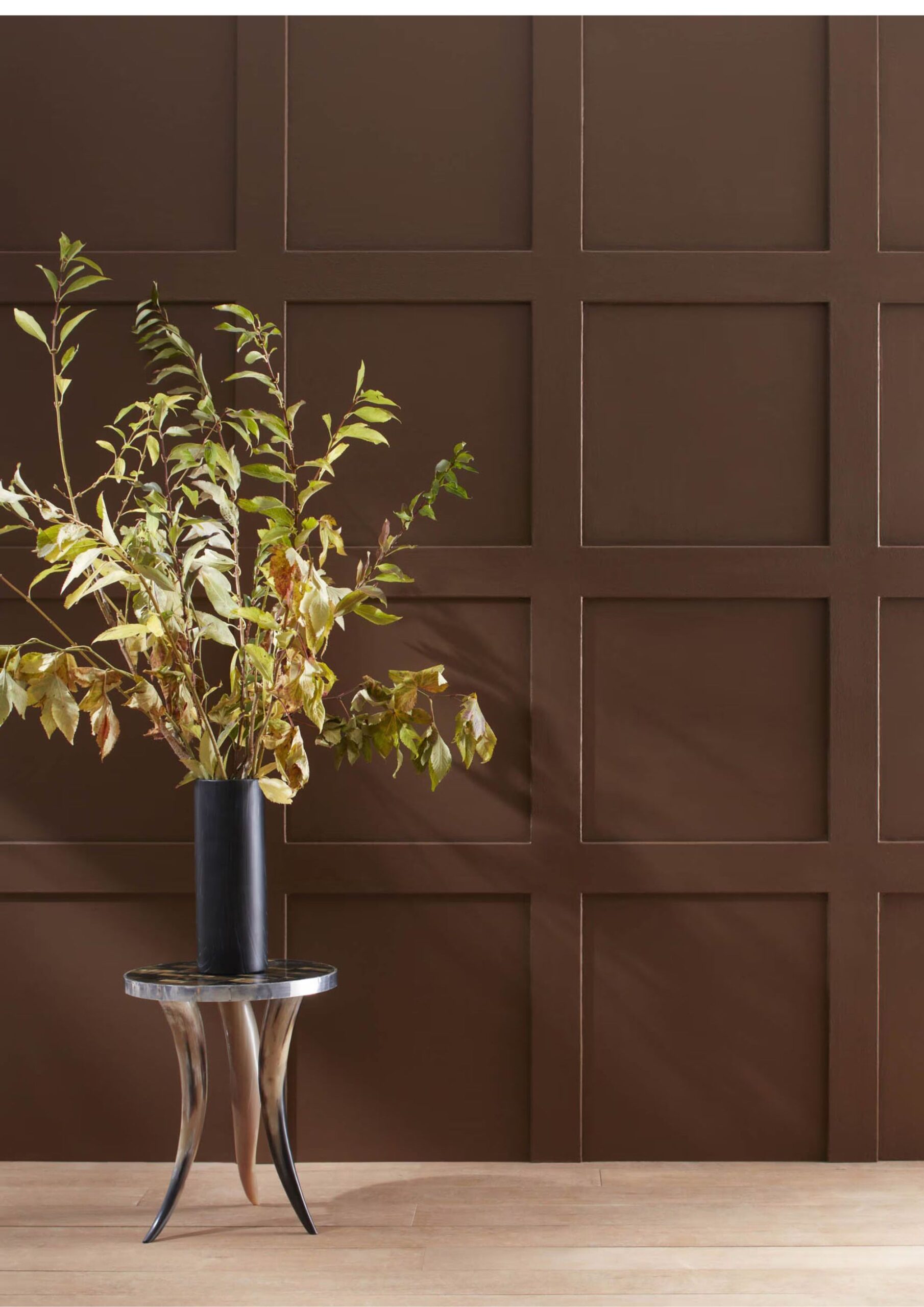 Chocolate Brown: History and Elegance in One.