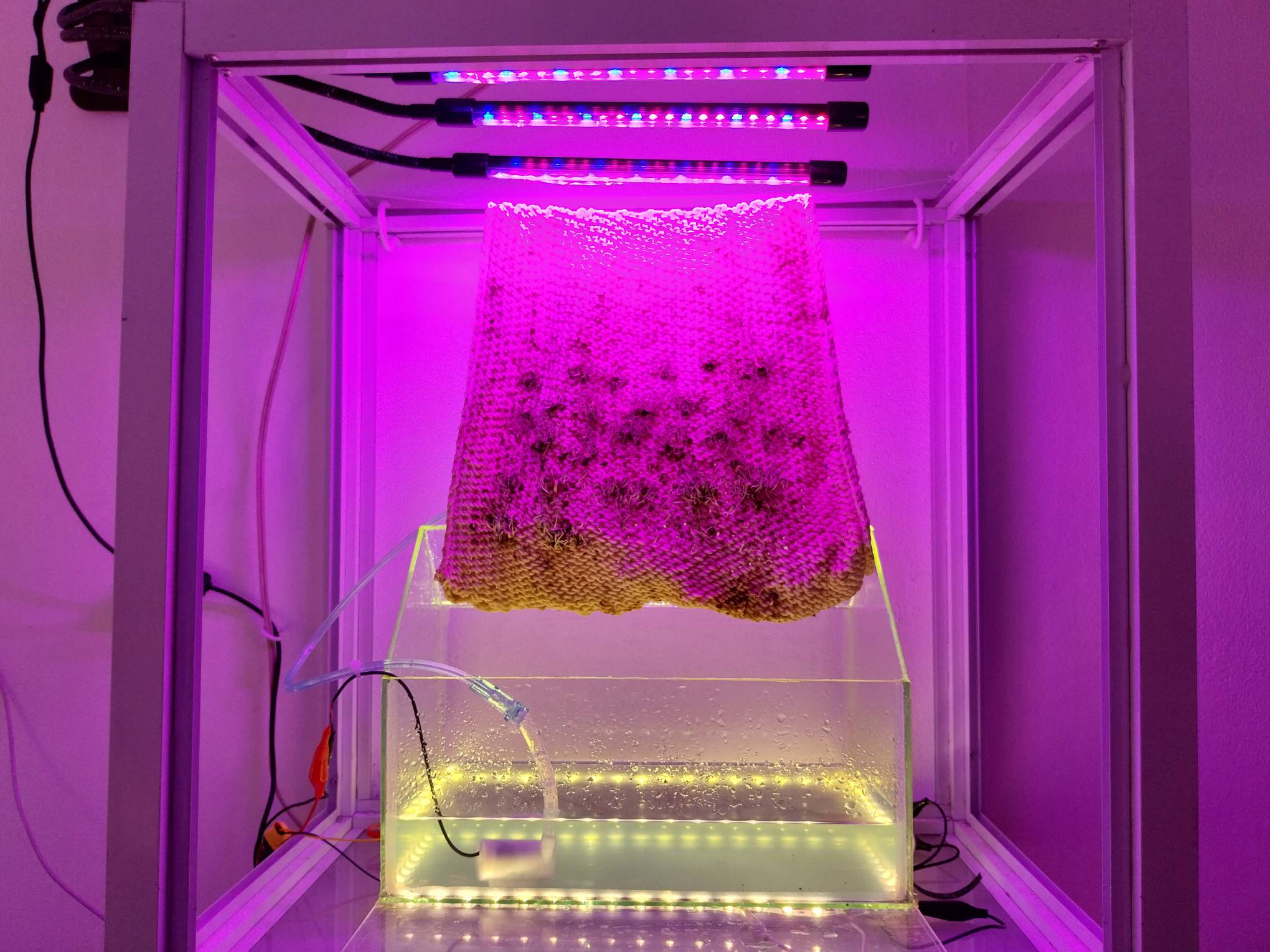 One of the works exhibited.