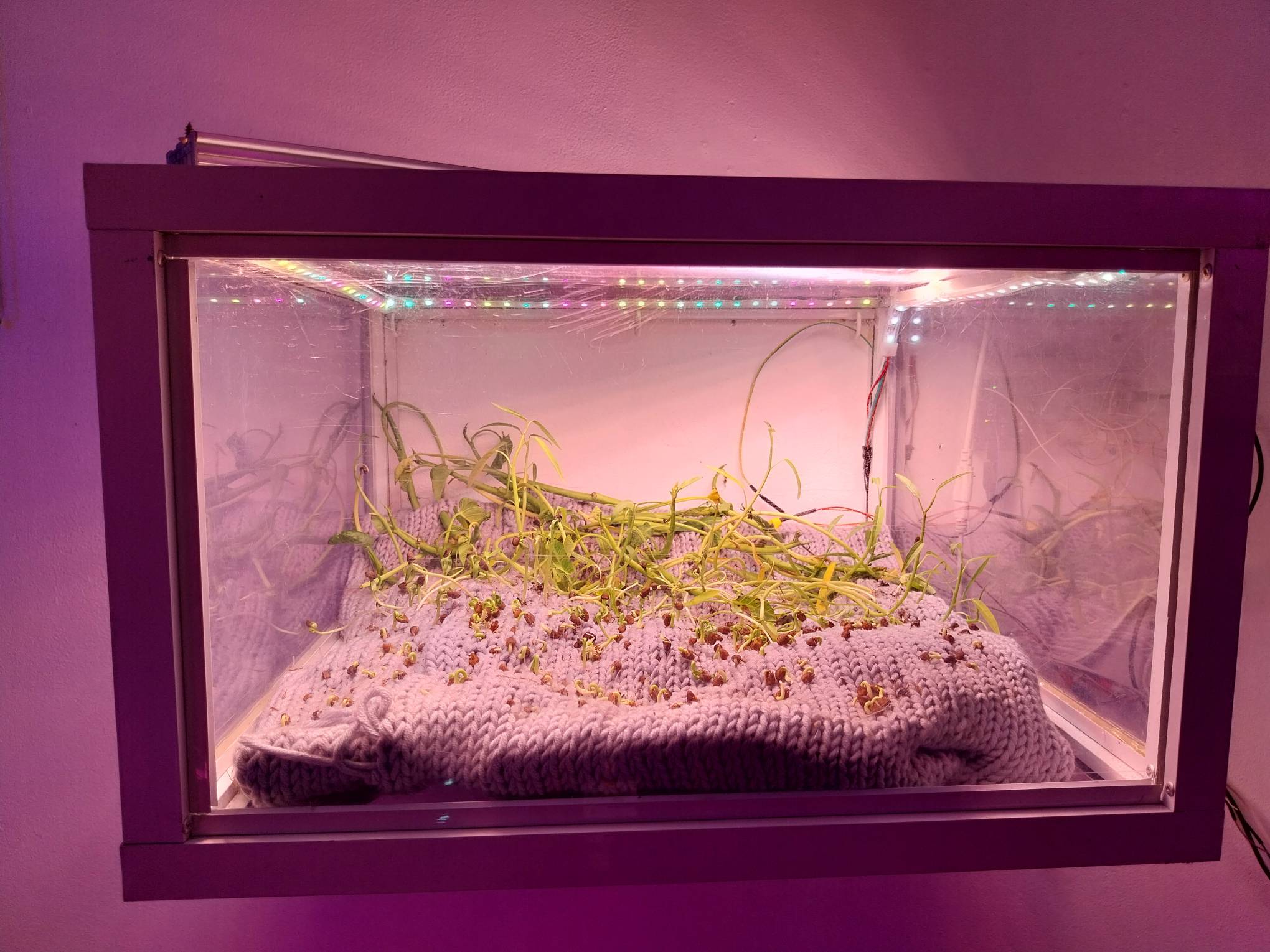 One of the works exhibited.