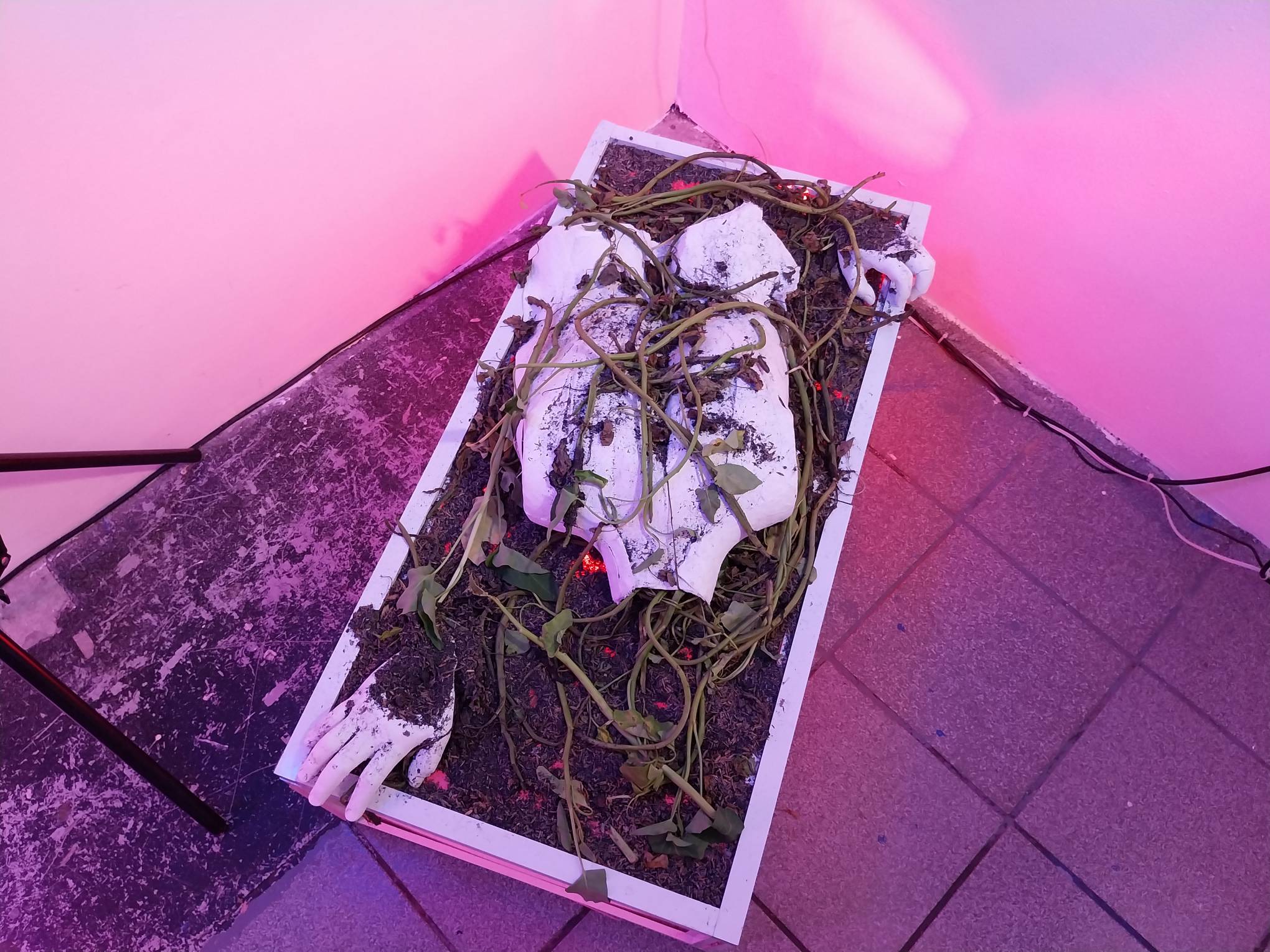 Top view of "Cycle of Decay."