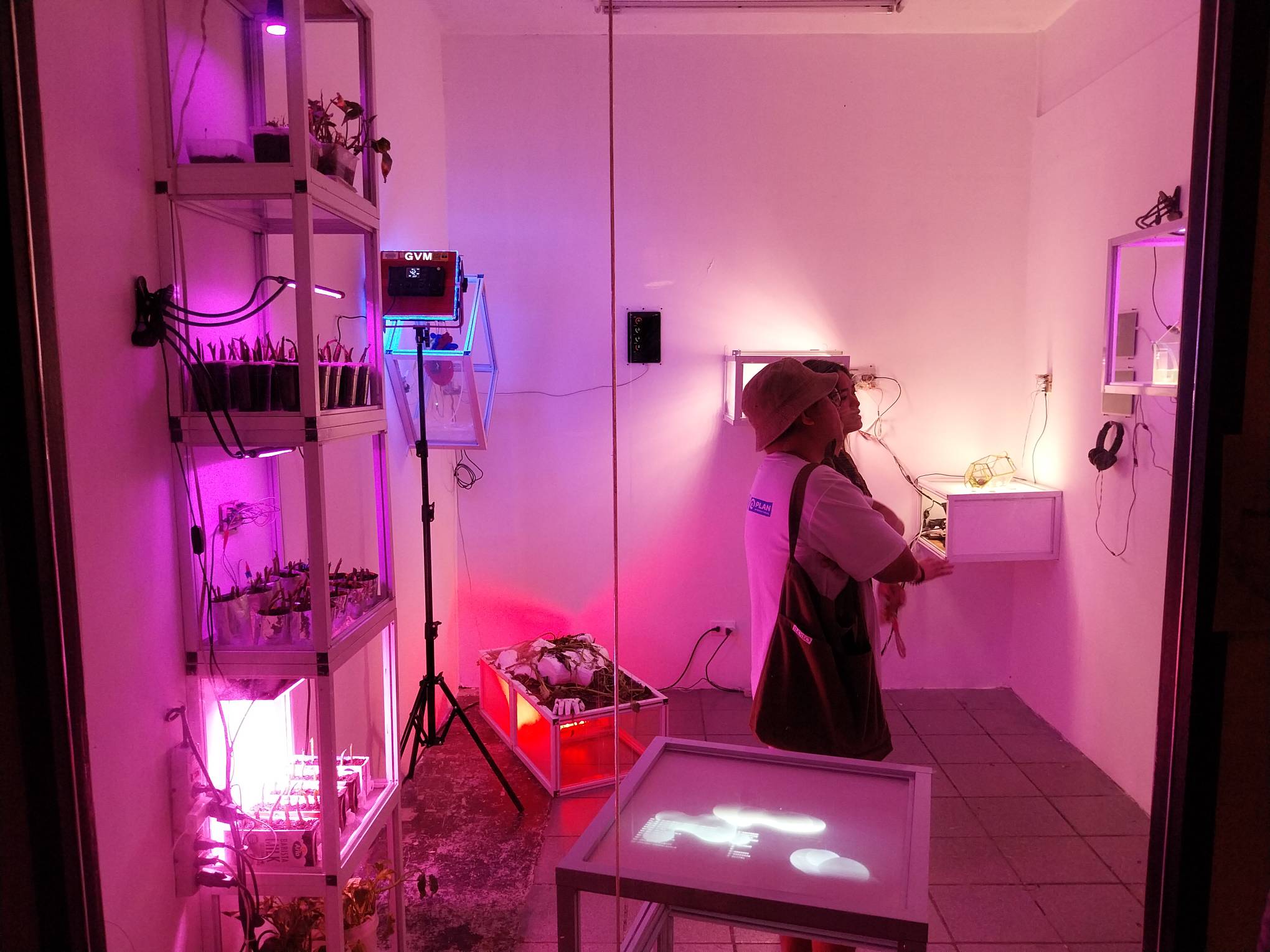 "bioSignals," a multinational art exhibit showing at NO Community-run Space.