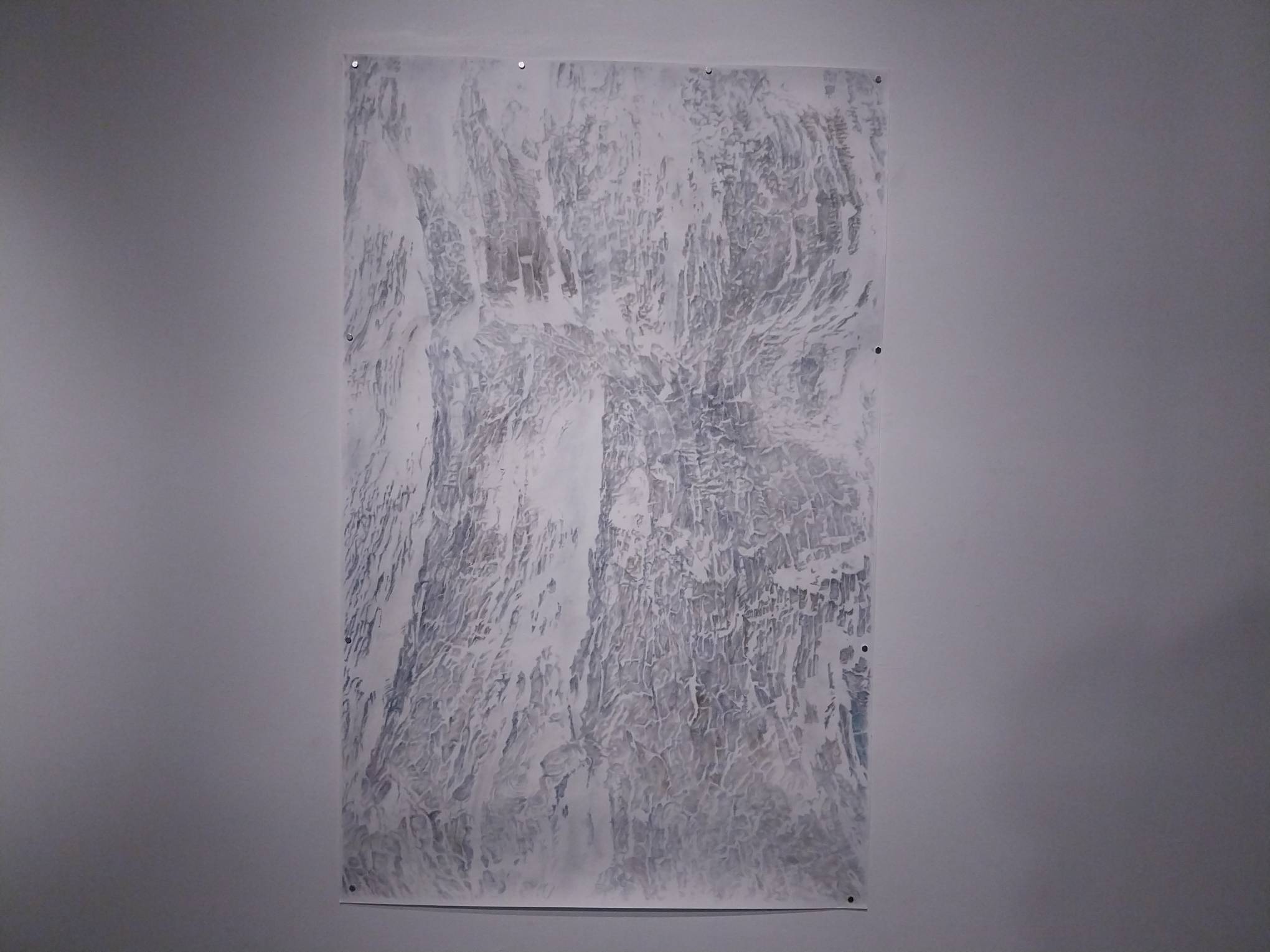 "Salix" by Katrina Bello.