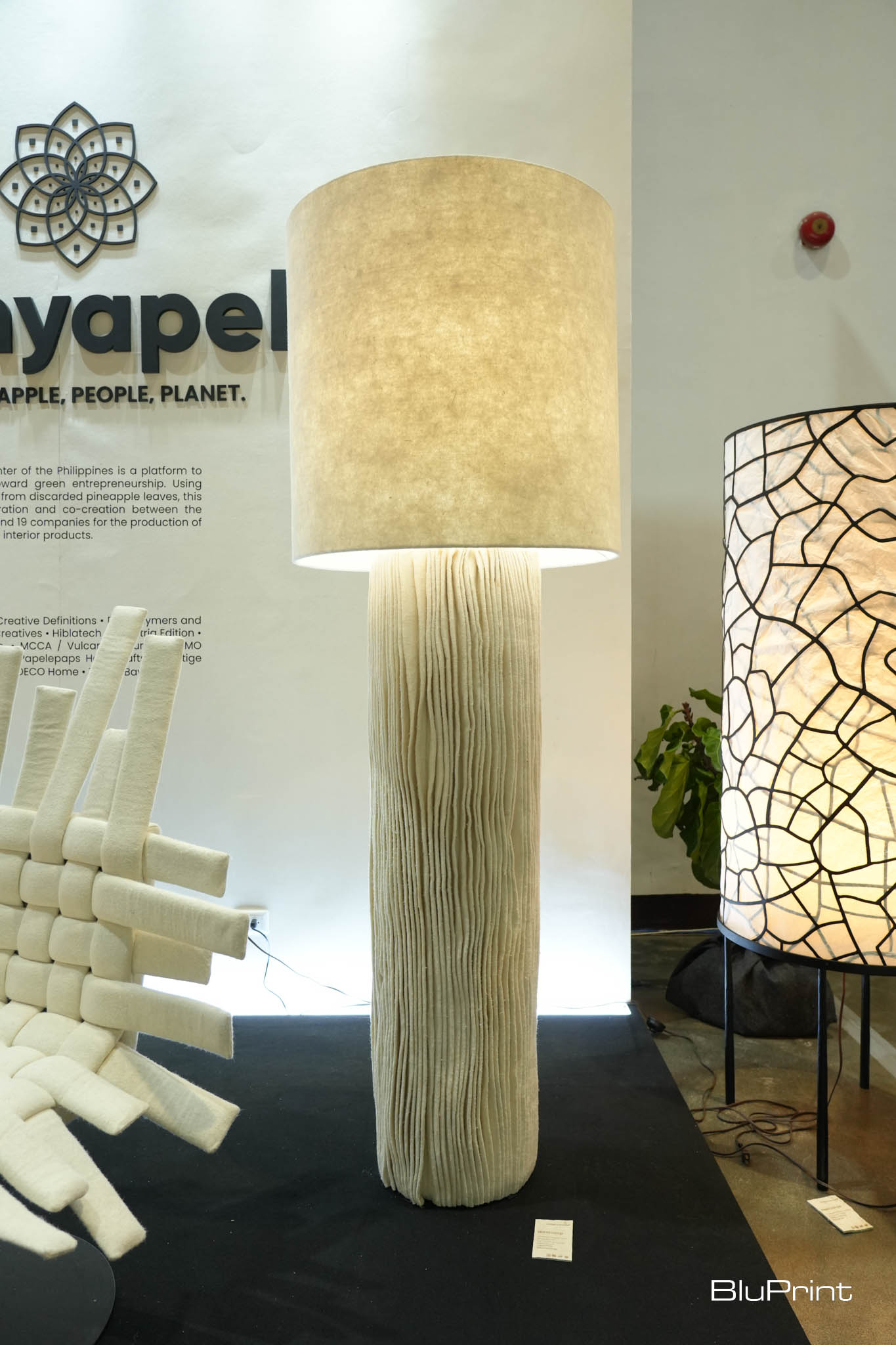 Pinyapel lamp.