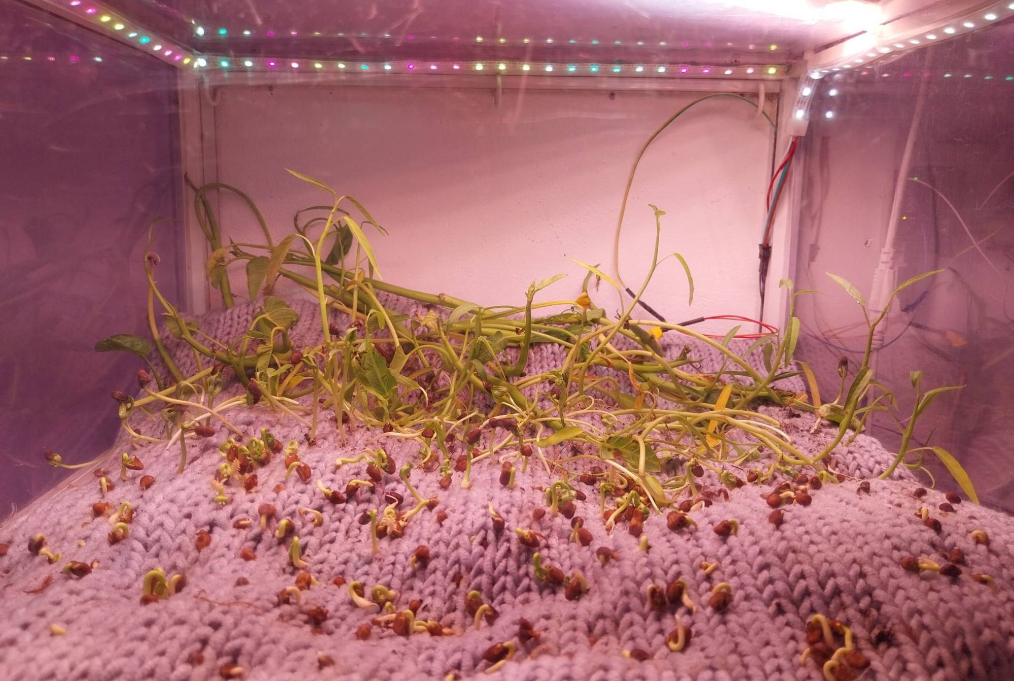 One of the art/science hybrid works for "bioSignals."