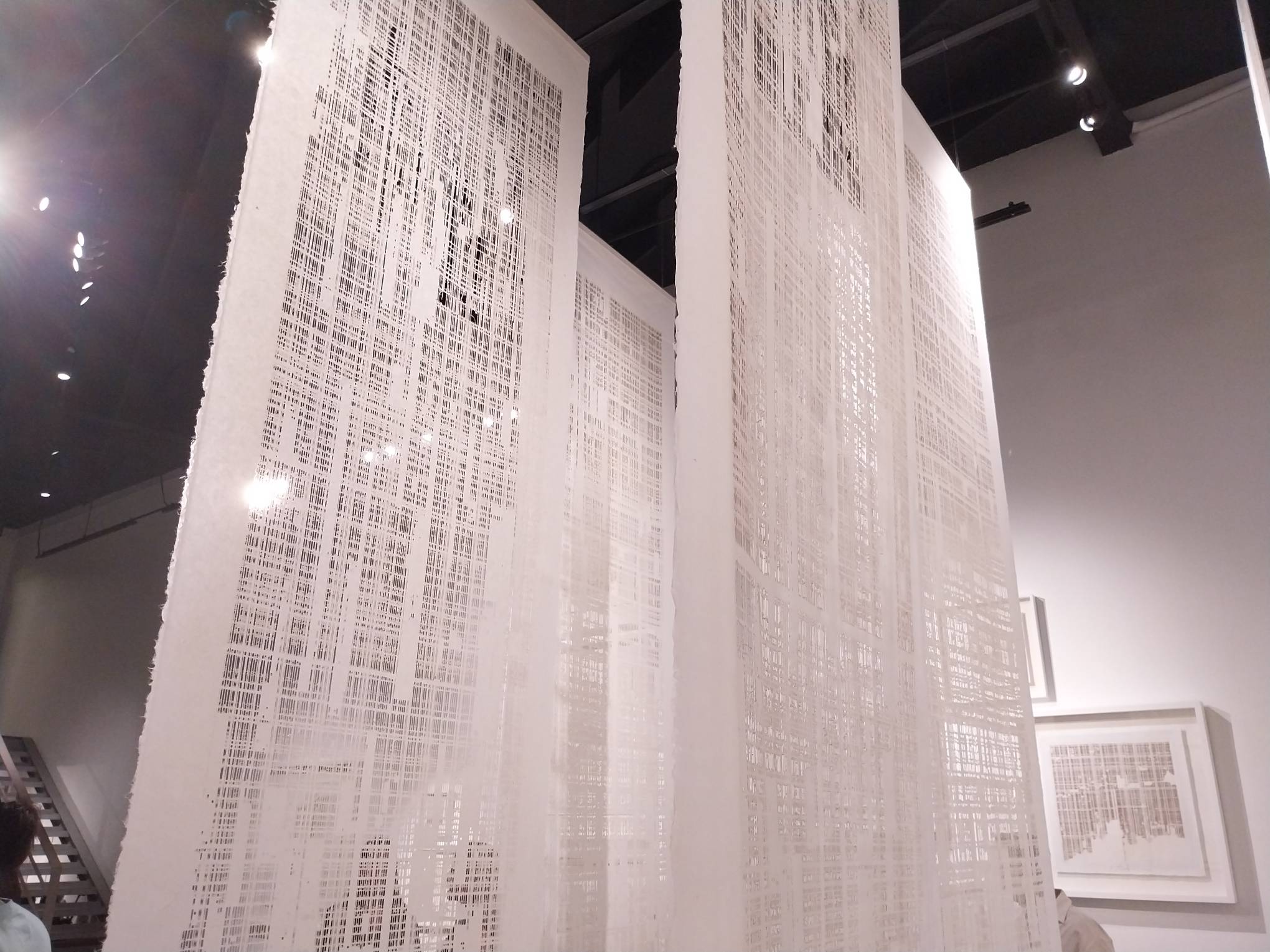 The gigantic scroll-like works for "Crisis in Meaning."