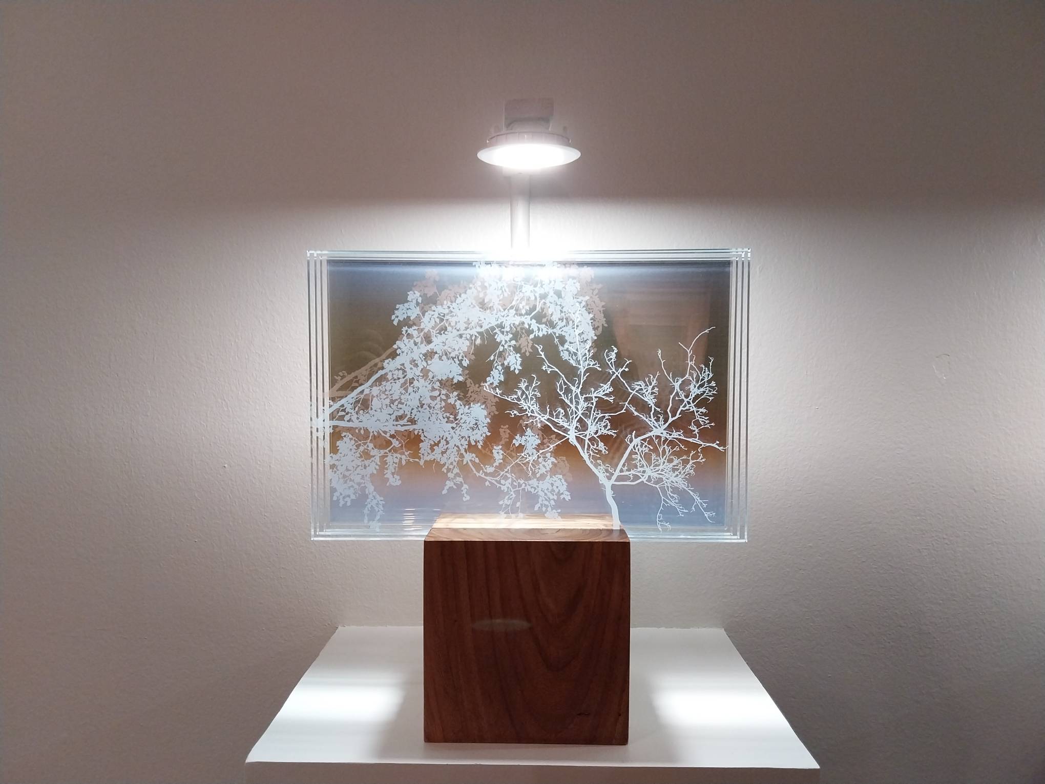 "Alora" by Angela Panlilio for "Into Light" at Artinformal Gallery.