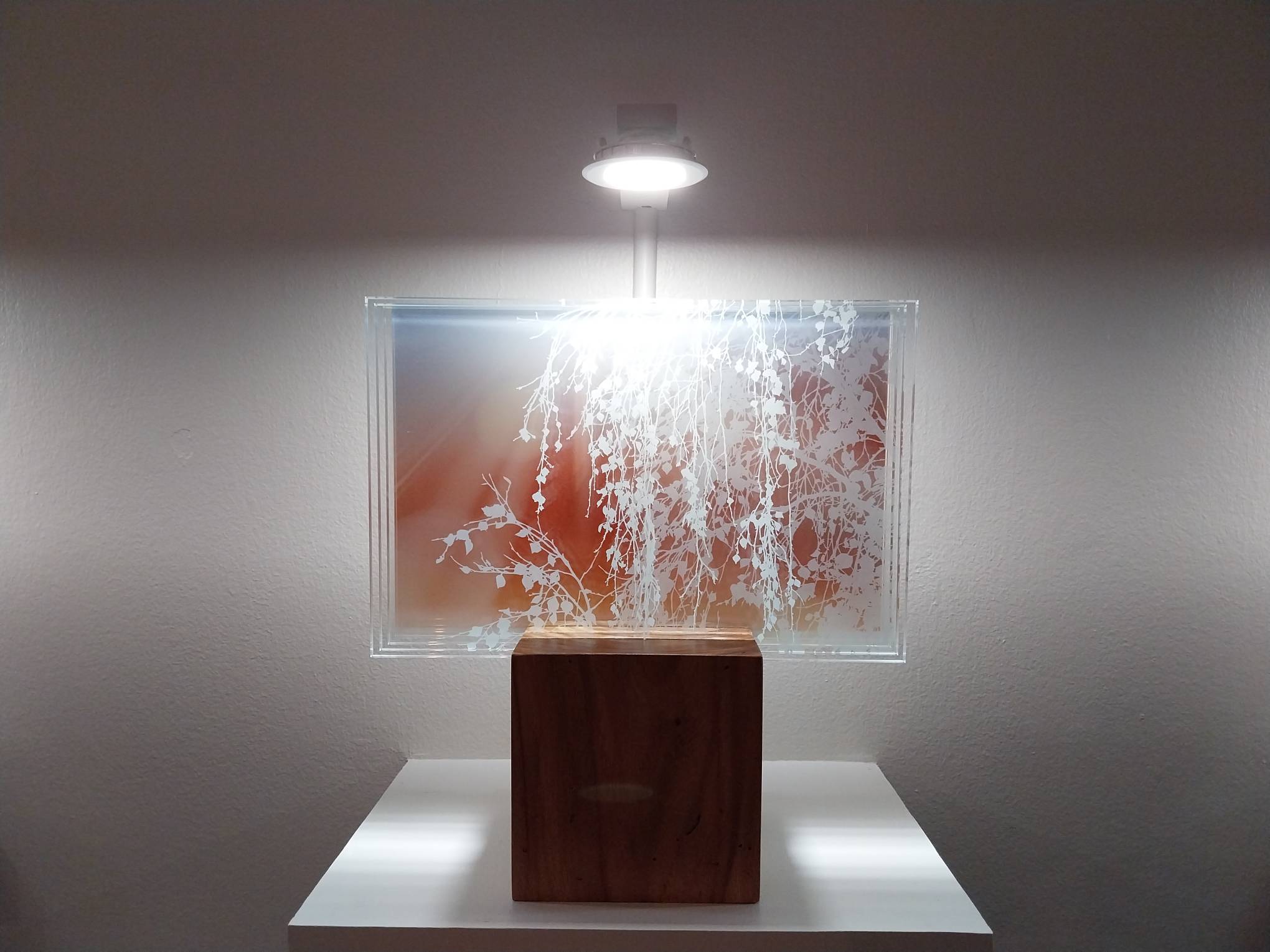 "Emi" for "Into Light" at Artinformal Gallery.