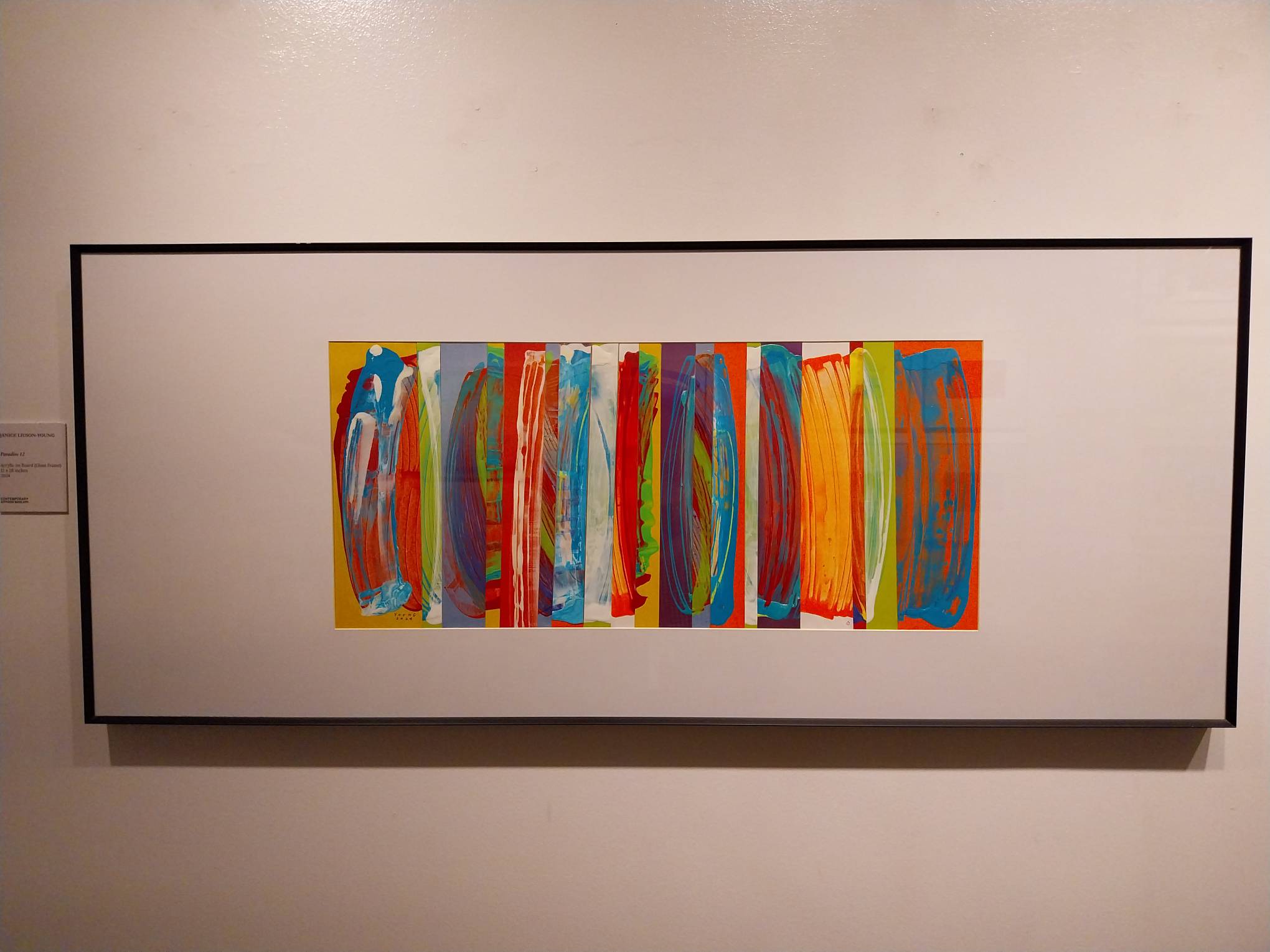 A colorful abstraction  by Janice Liuson-Young.