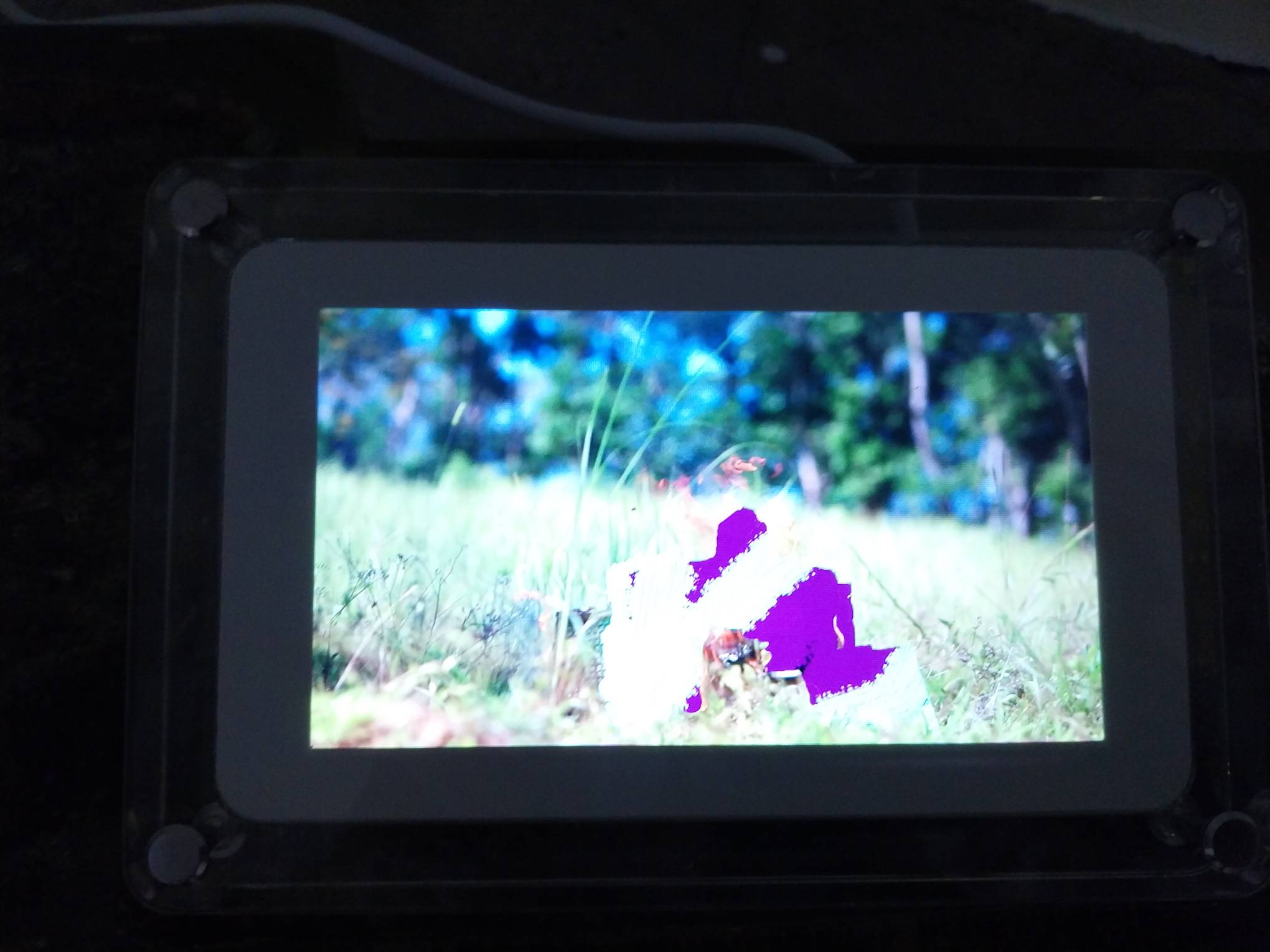 Still image from "Hazard the Plough" by Lena Cobangbang.