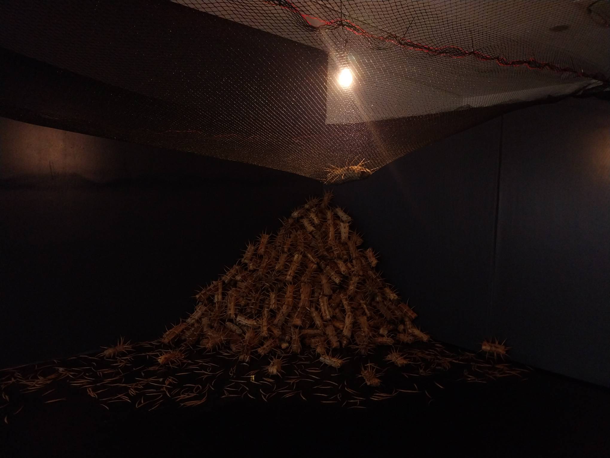 "Wood Things" by Junyee for Altro Mondo Creative Space.