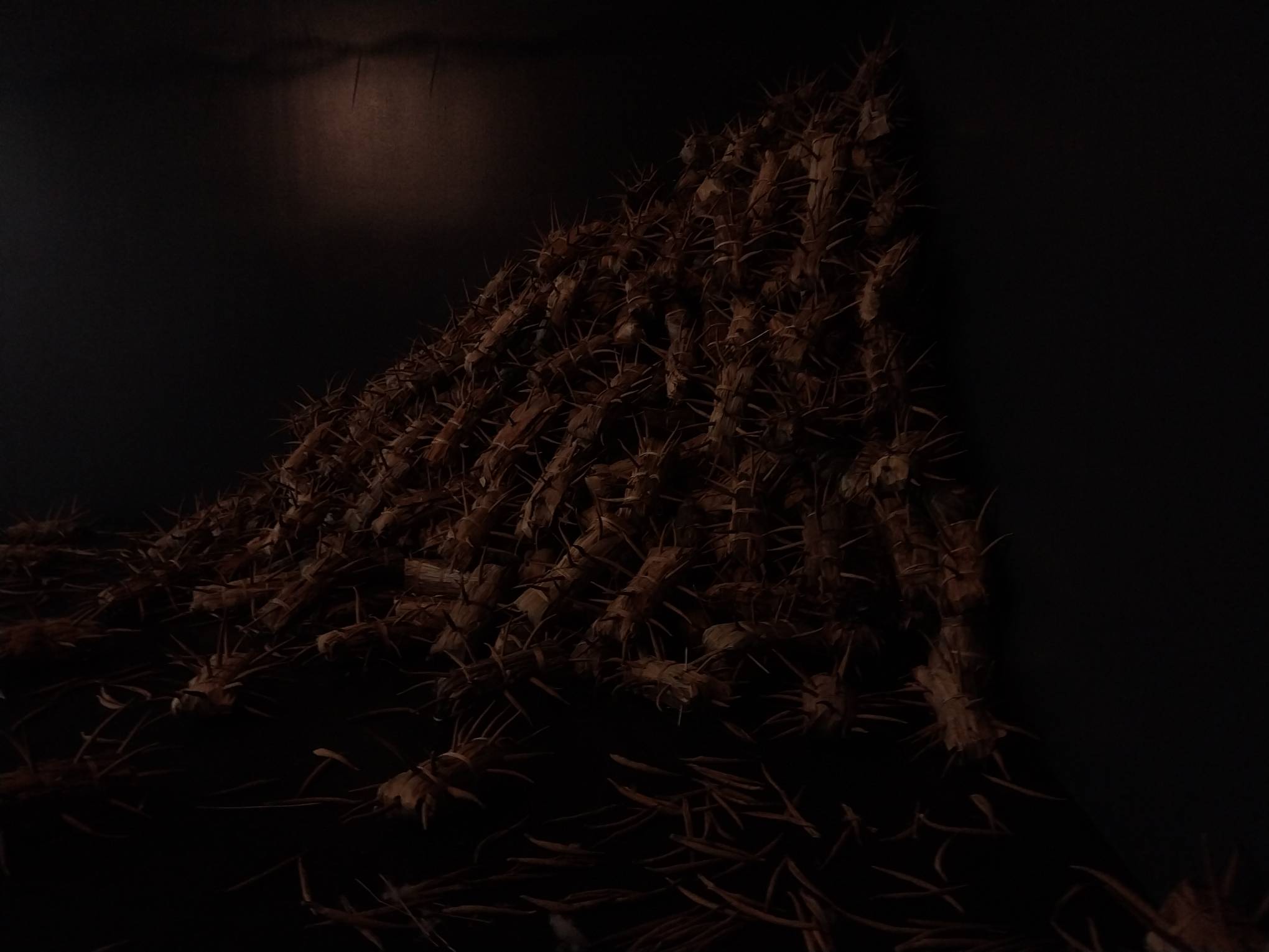 The "wood things" made by Junyee as exhibited for "Of Men and Nature."