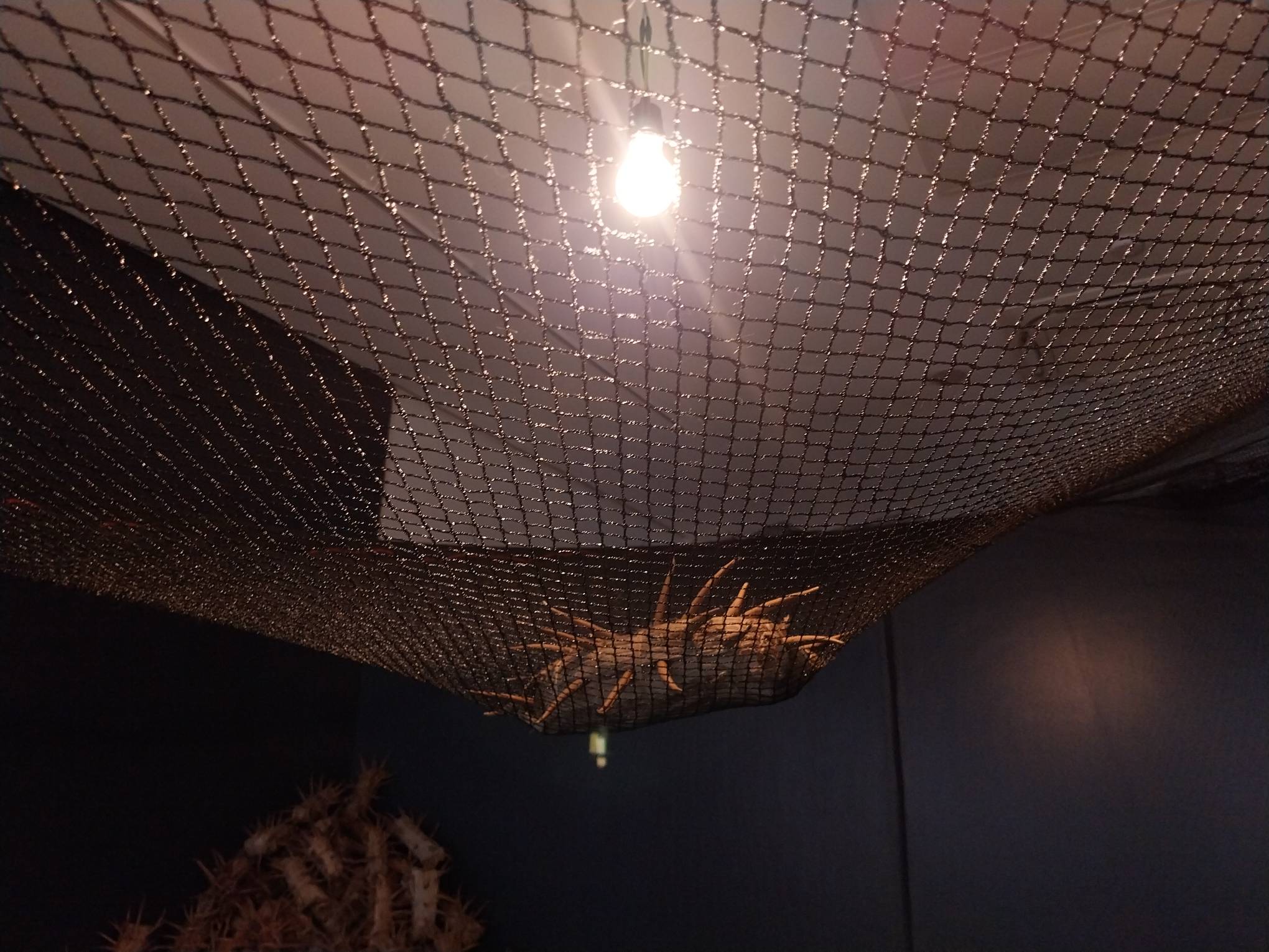 A "wood thing" made by Junyee.