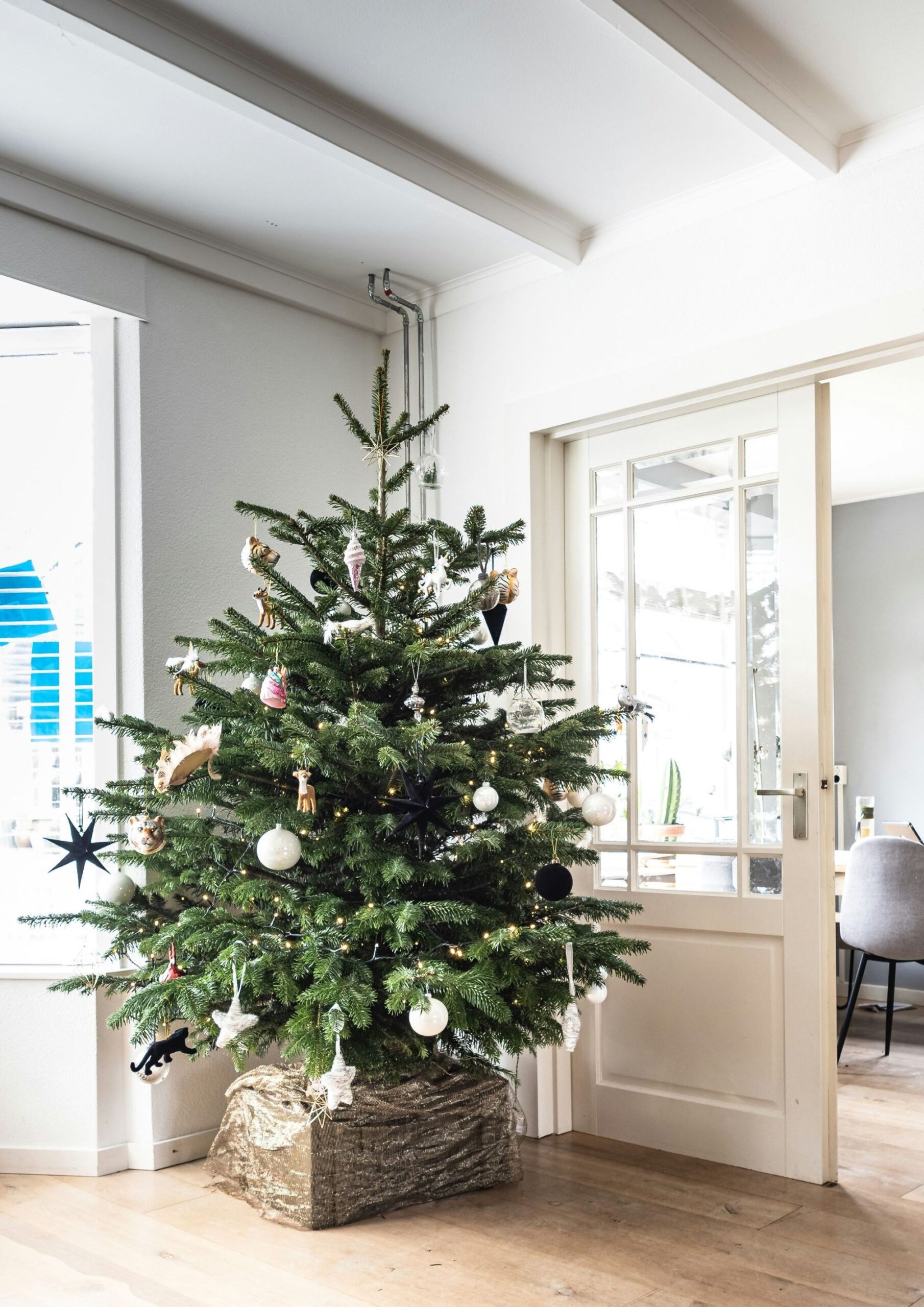 Accessorize the Base.