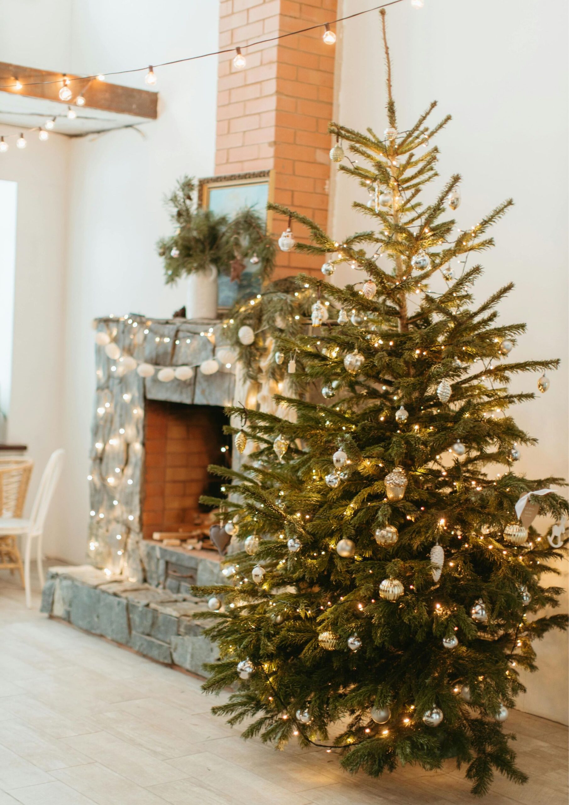 Light Up the Christmas Tree.