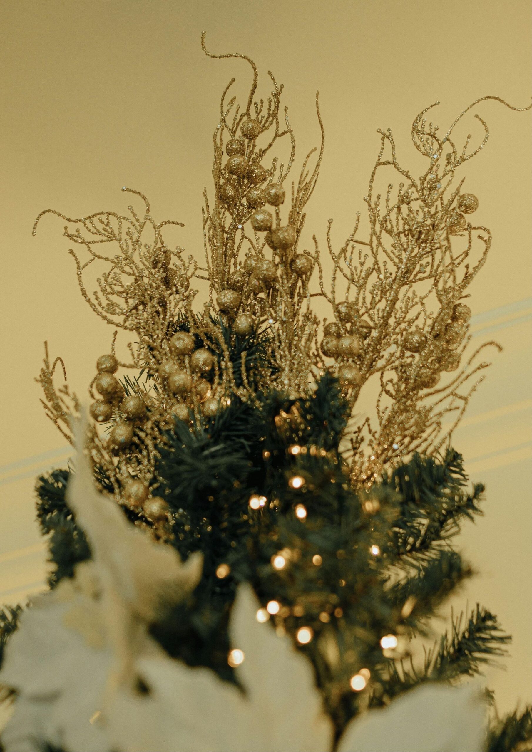 Fill In Sparse Branches.