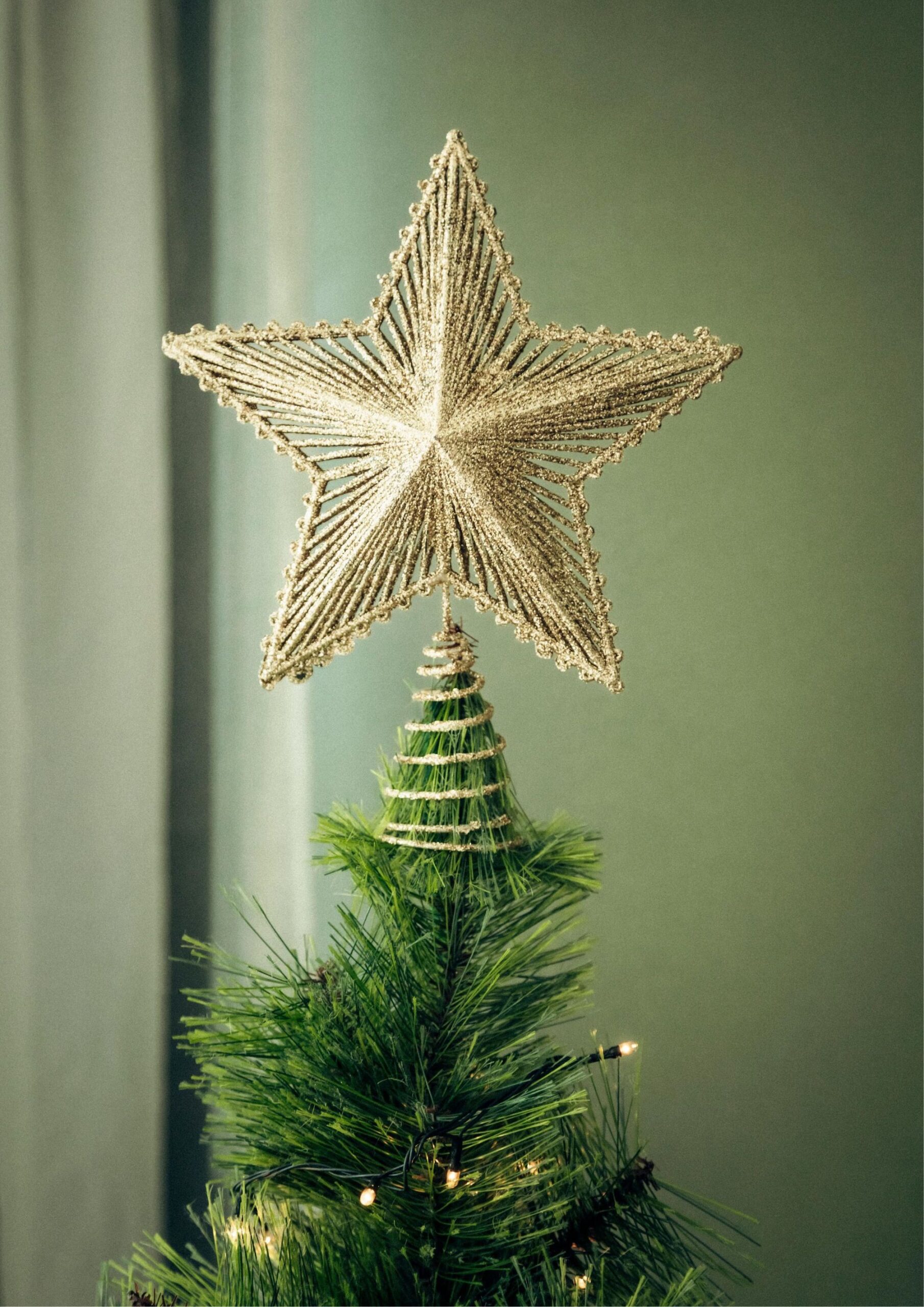 Finish with a Christmas Tree Topper.
