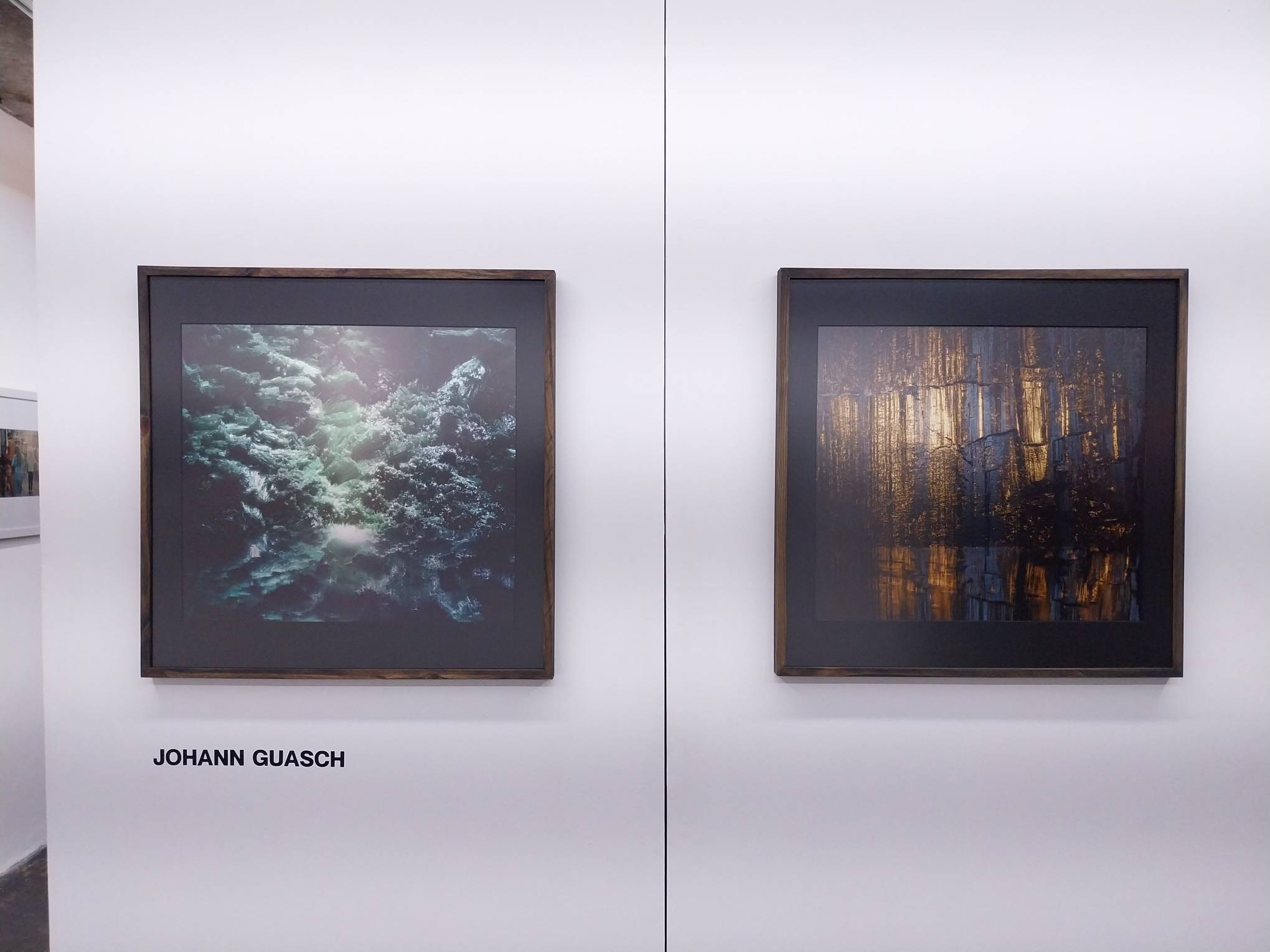 Johann Guasch’s work for "Capture and Release." Photo by Elle Yap.