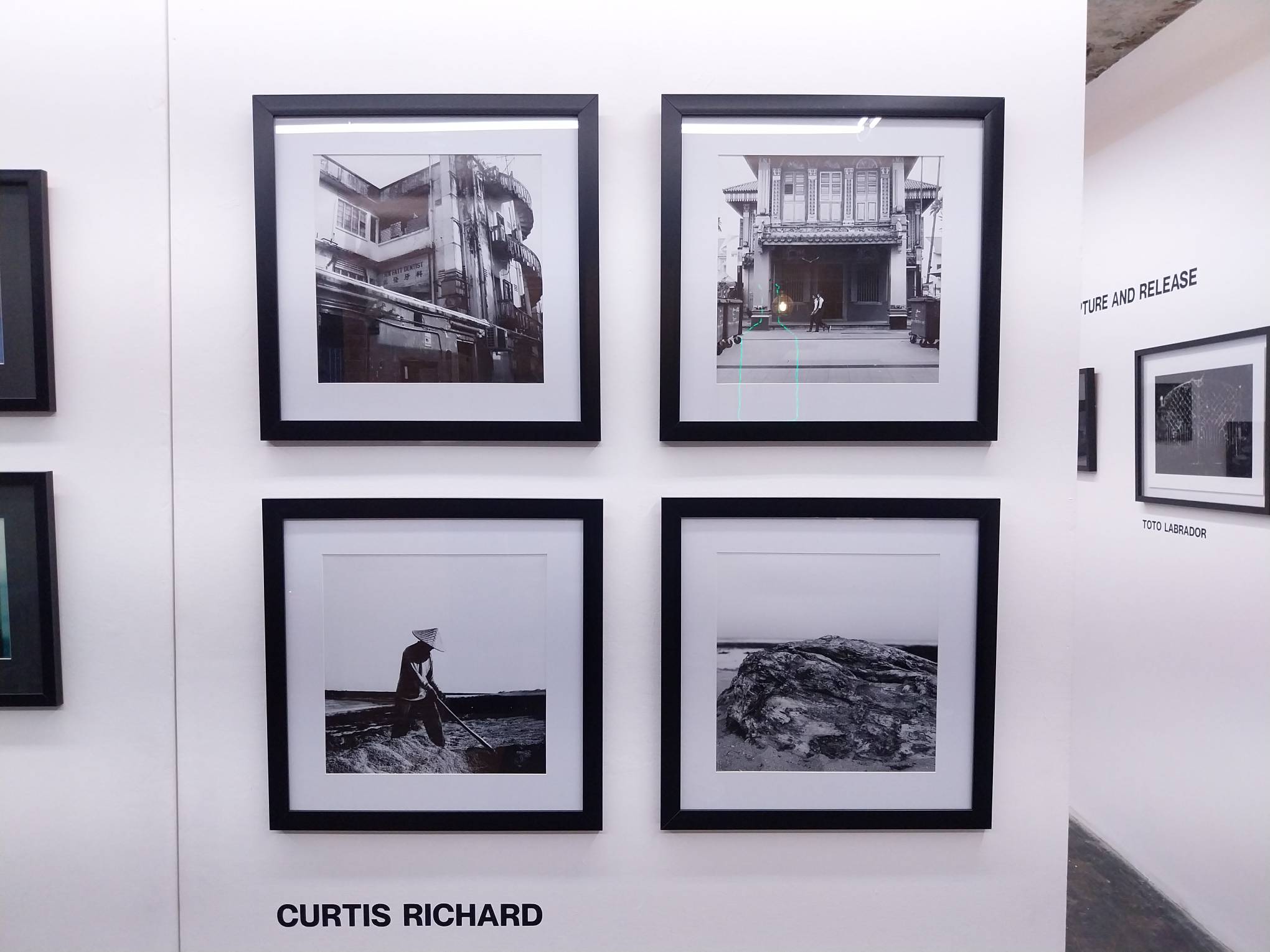 Works by Curtis Richard for "Capture and Release." Photo by Elle Yap.