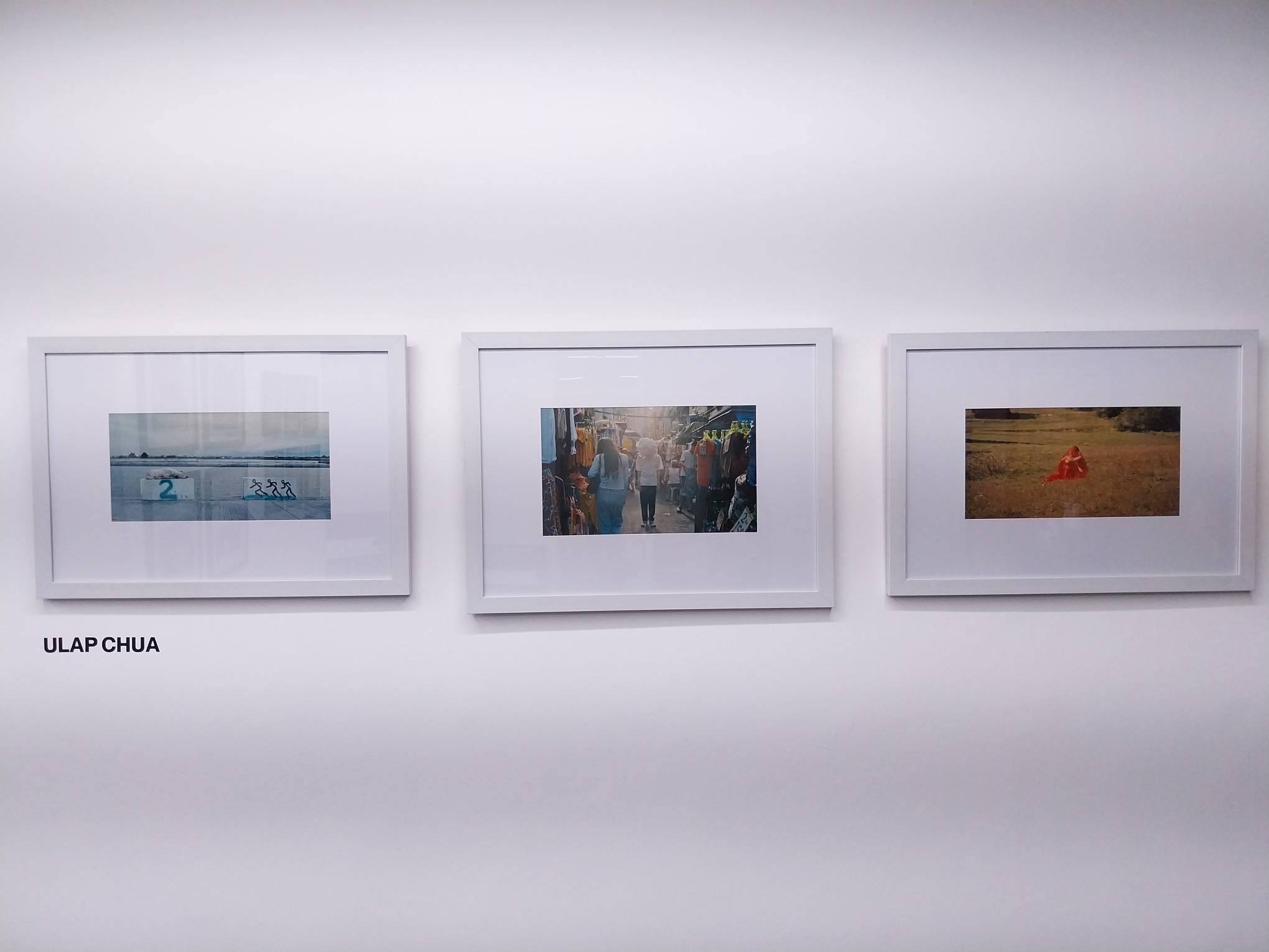 Ulap Chua's work for "Capture and Release." Photo by Elle Yap.