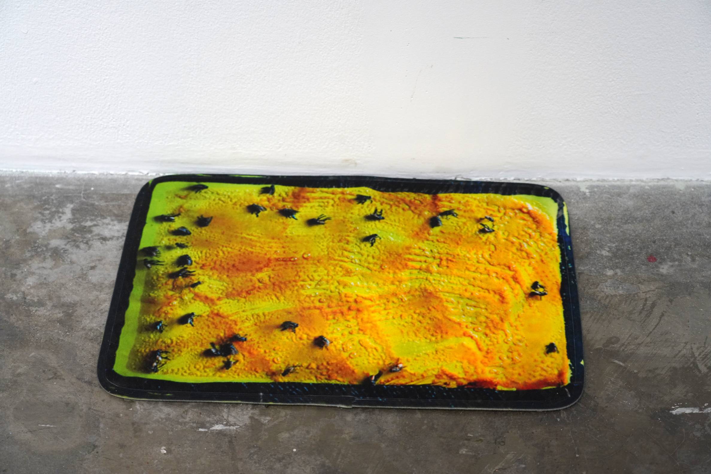 Flytrap on floor shown at "either/or." Photo provided by artist.