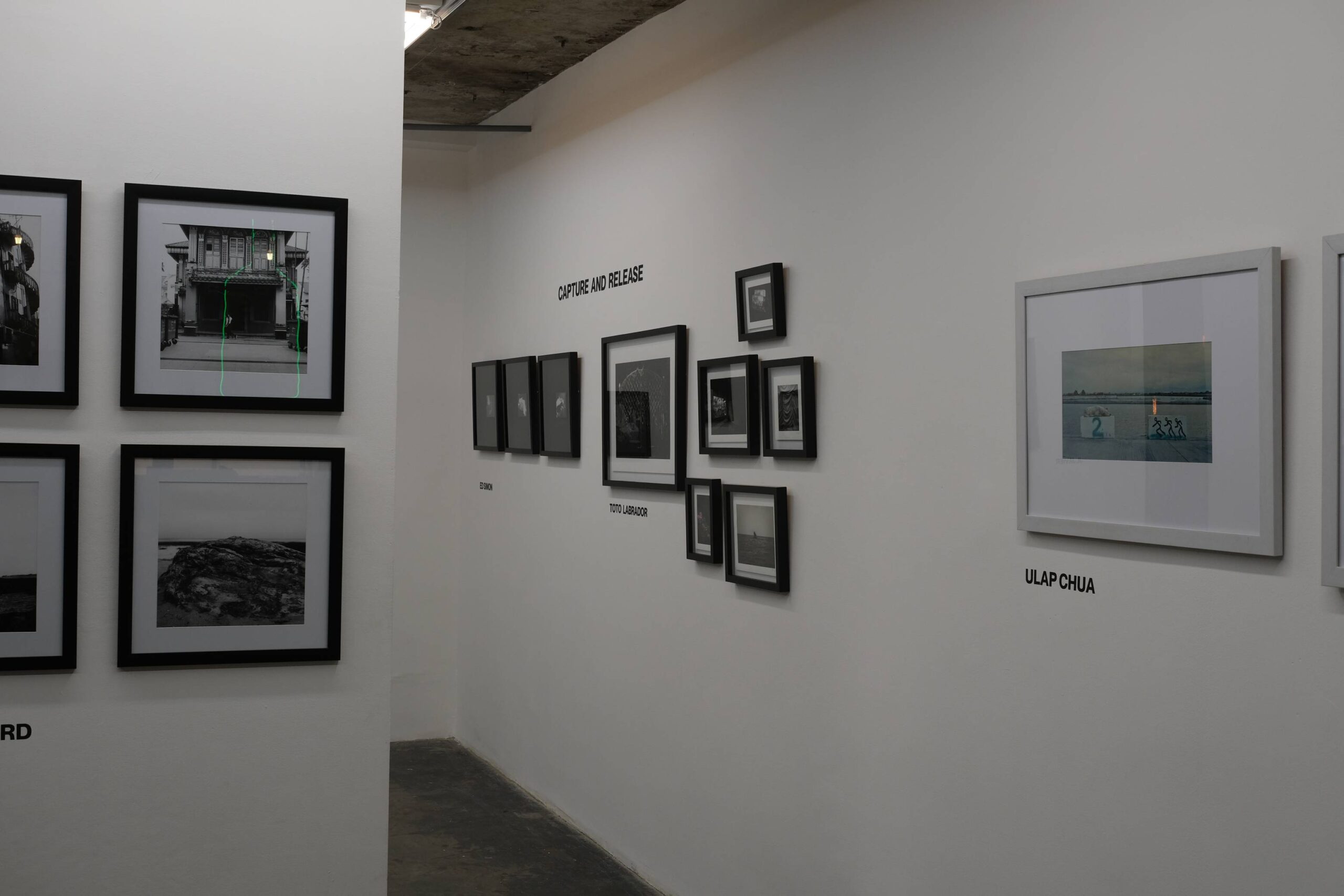 A different angle of the gallery exhibit "Capture and Release." Photo by Ed Simon.