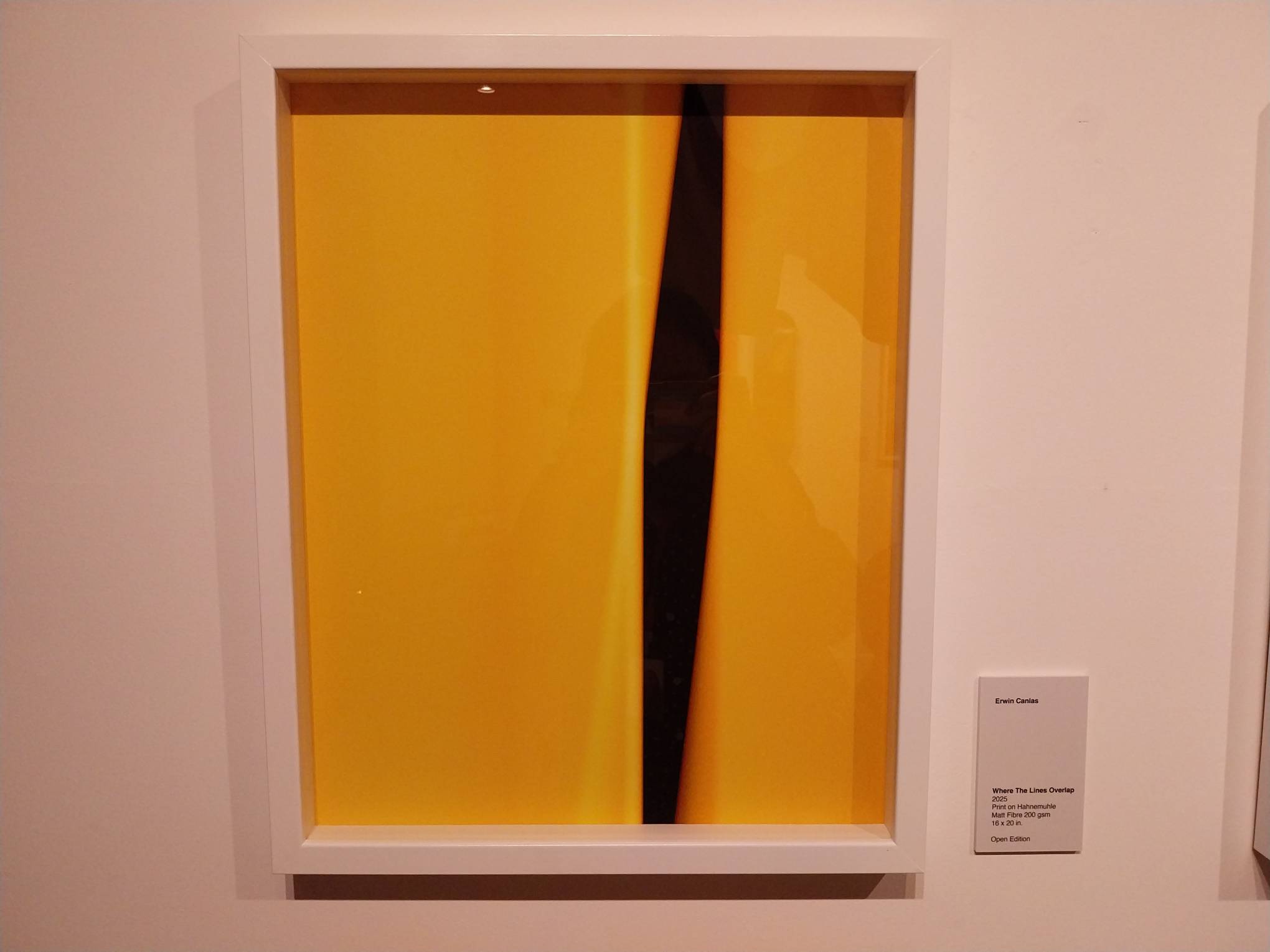 "Where the Lines Overlap" by Erwin Canlas.