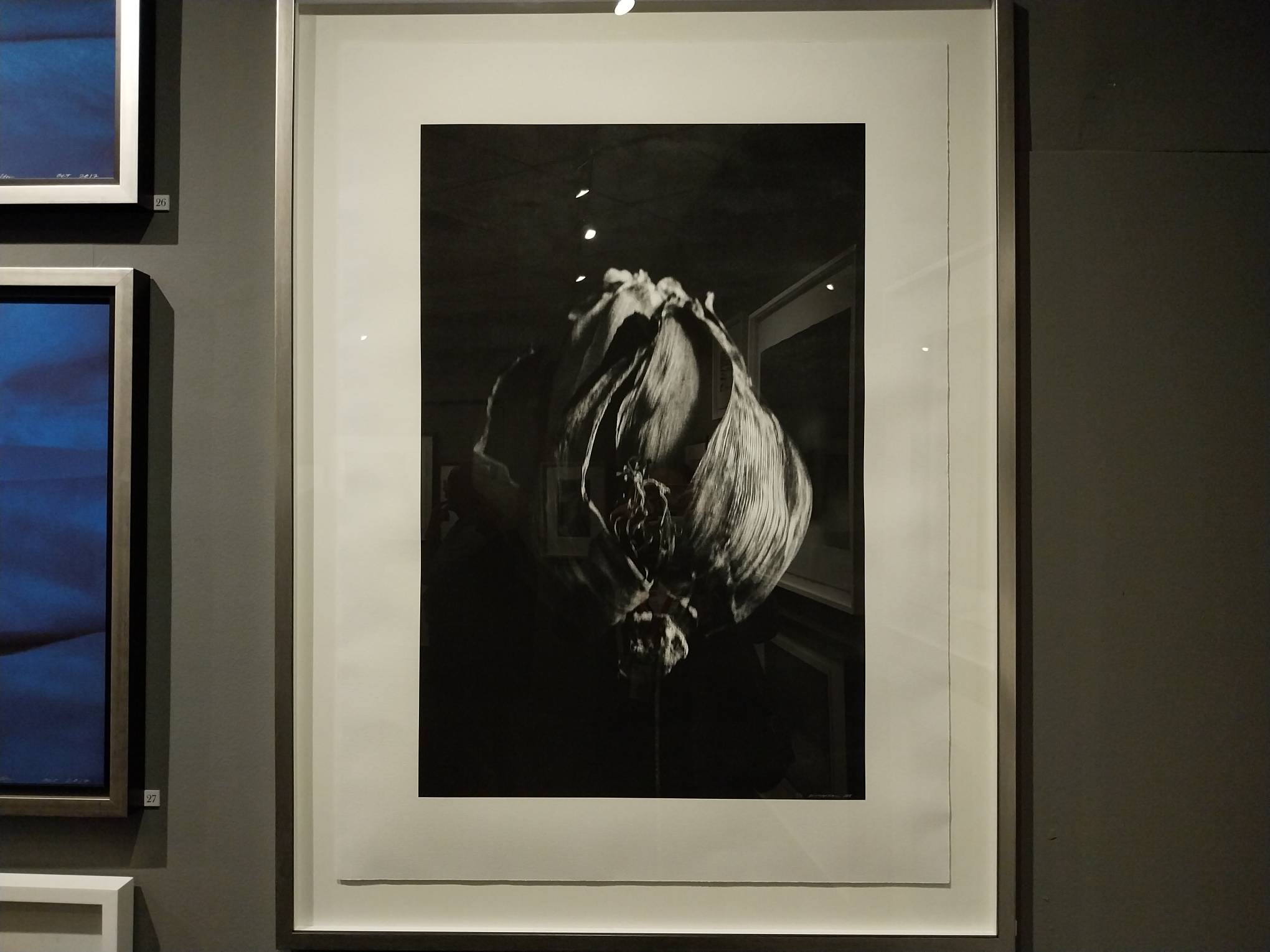 An image of a fruit at "Witness of the Quiet."