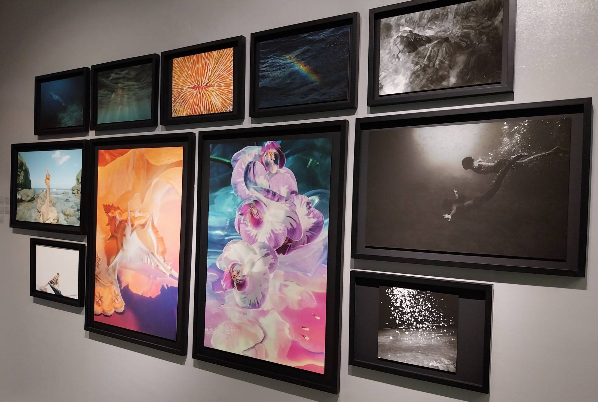 Some framed photographs from 