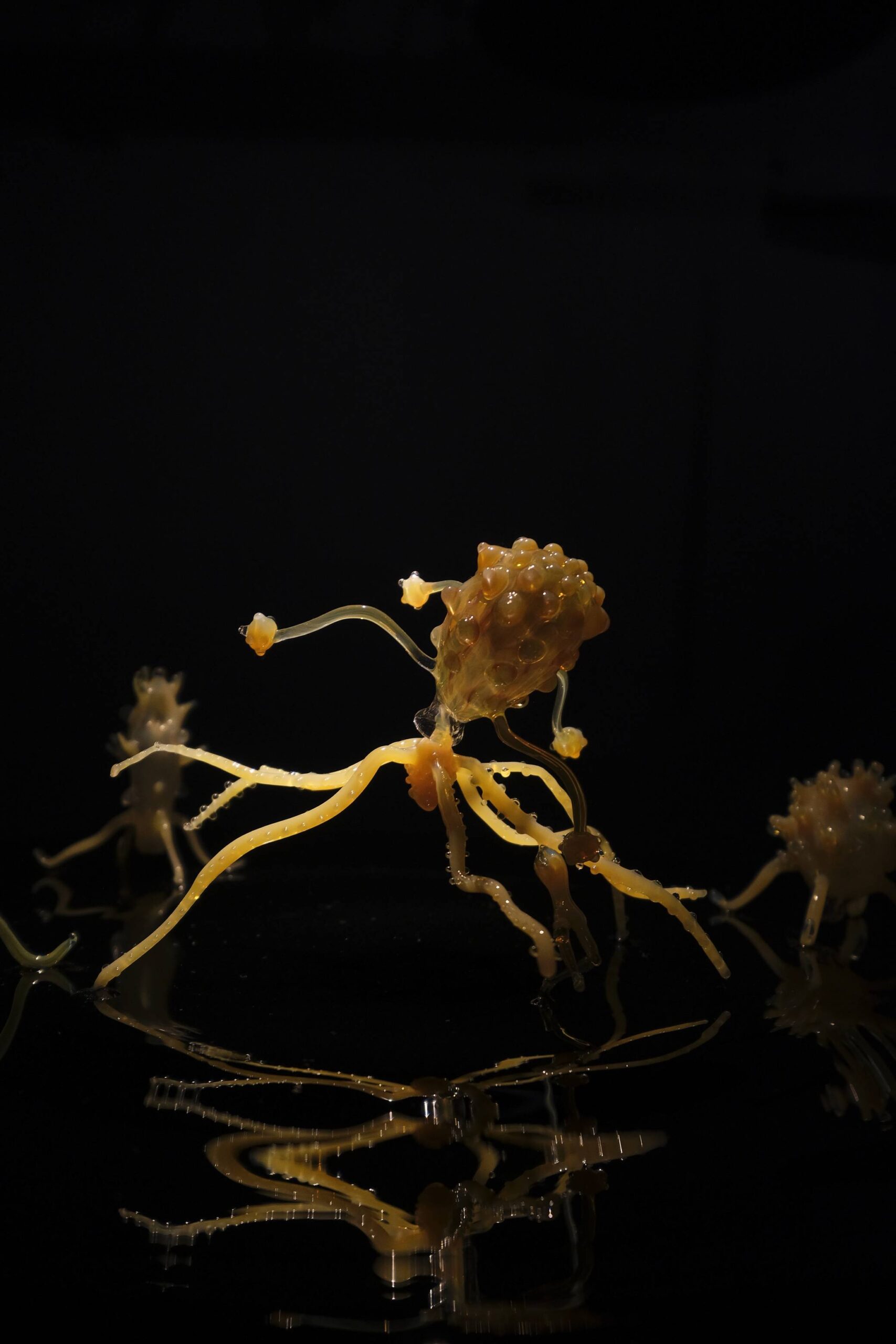 For her Art Fair Philippines exhibition, a glass sculpture made by Goldie Poblador.