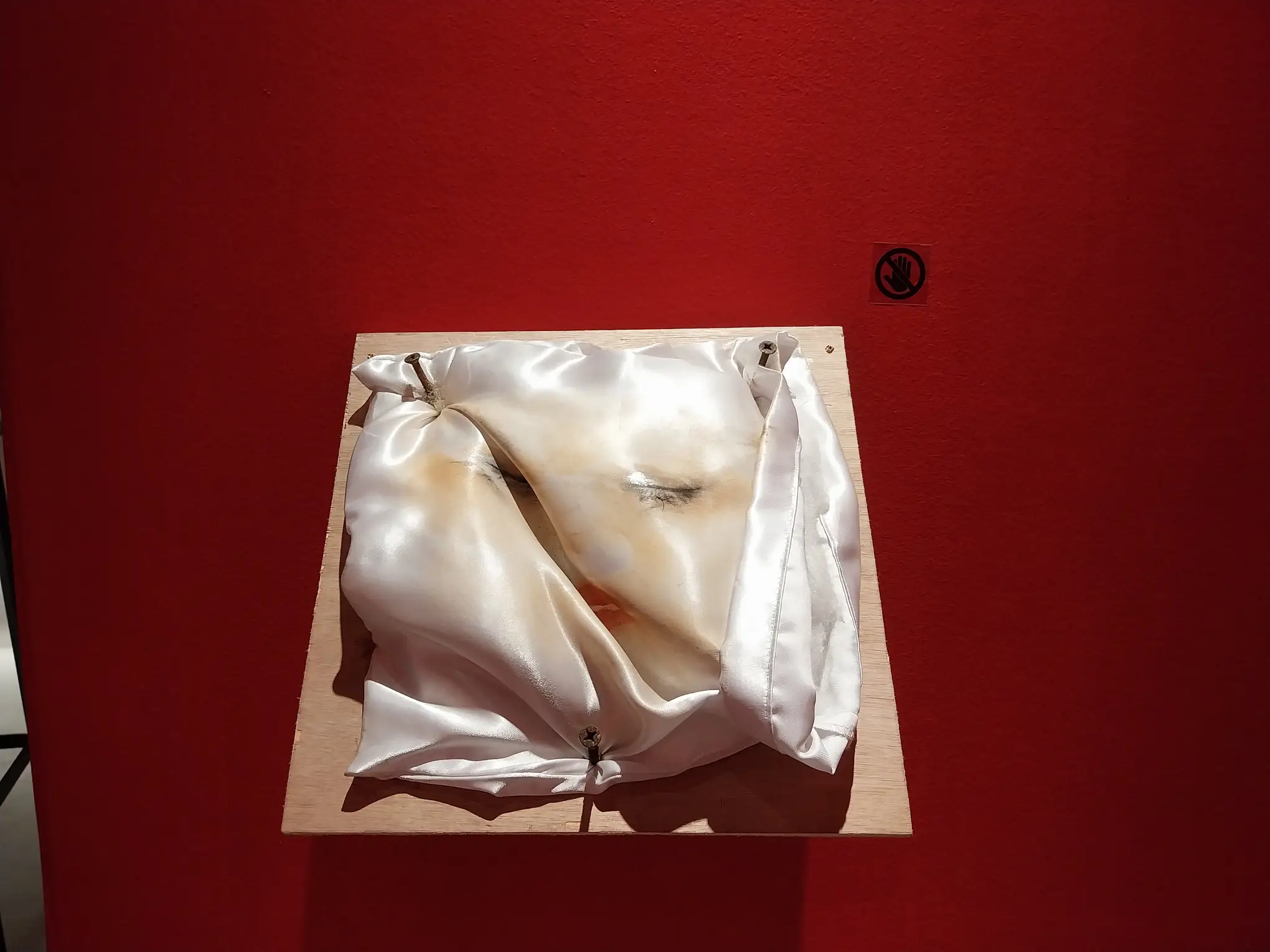 "Guard's Veil" by Ashley Gimpayan.