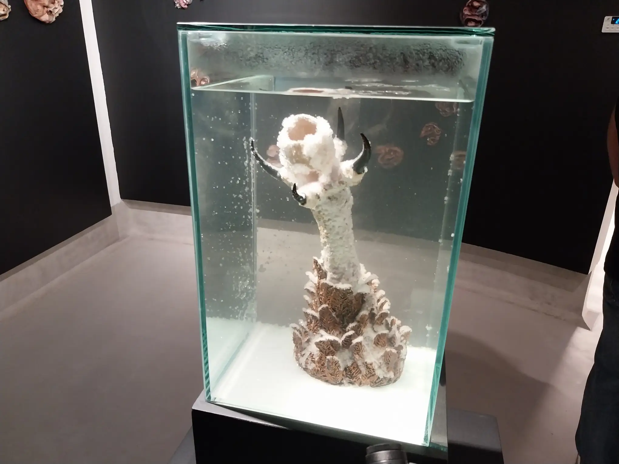An aqaurium with one of Sam Feleo's sculptures displayed at "Grip/Pulse."