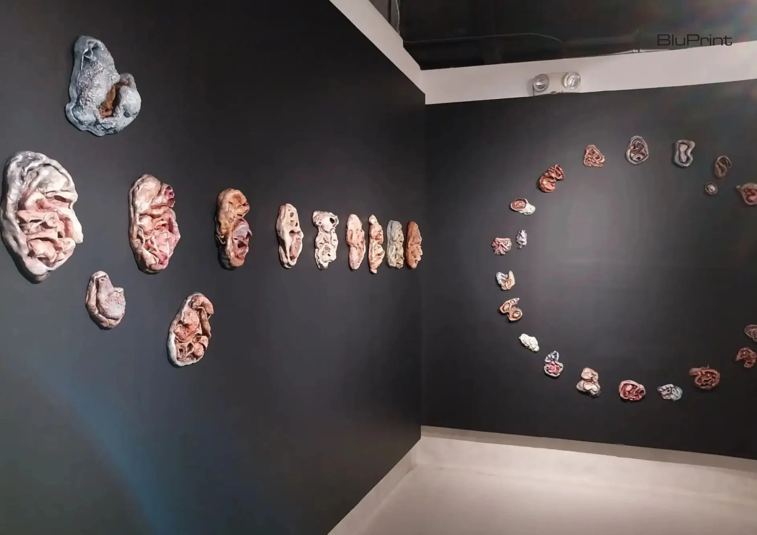 Sam Feleo's artworks as shown in 