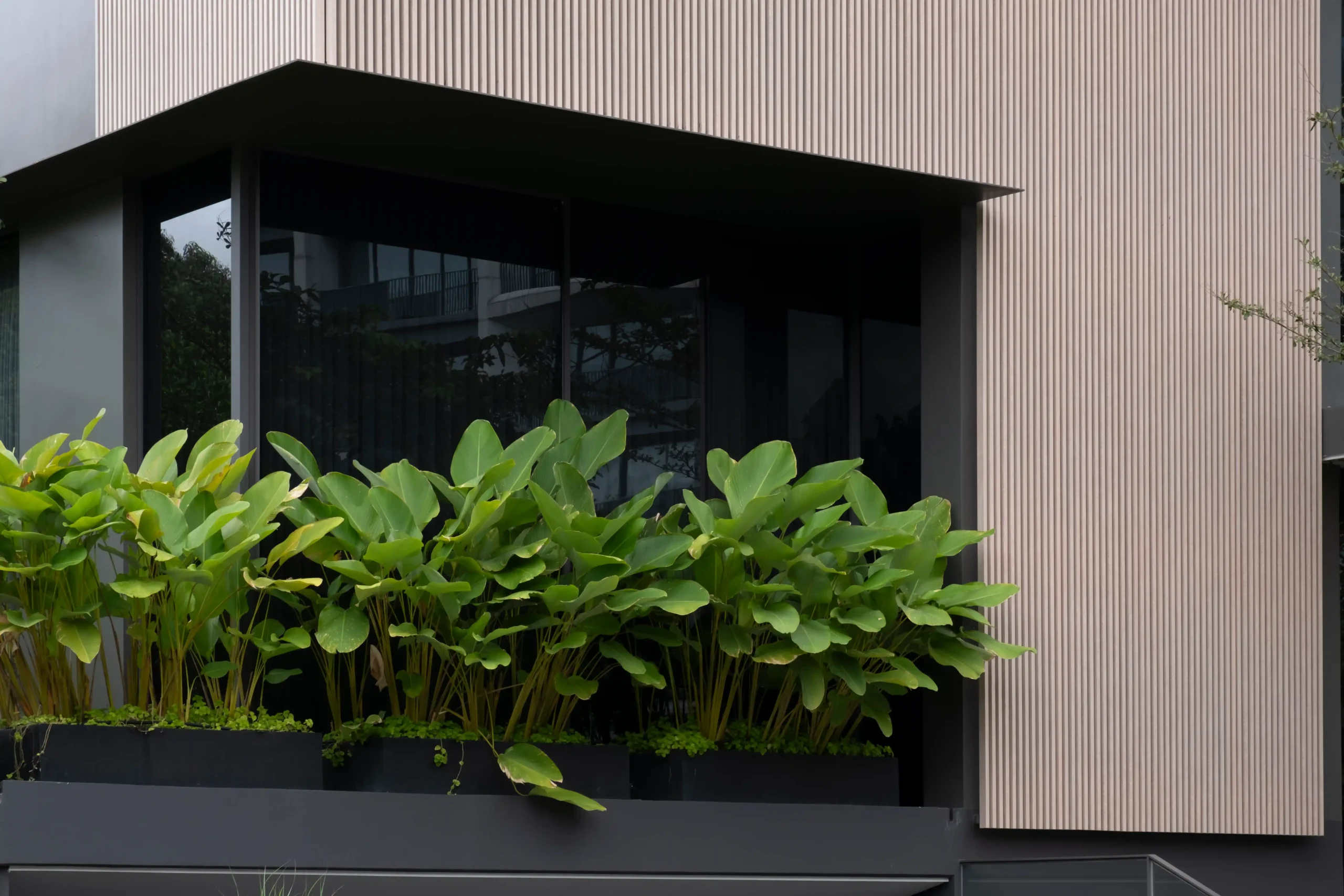 A home designed by Royal Pineda +, BluPrint Volume 1 2025.