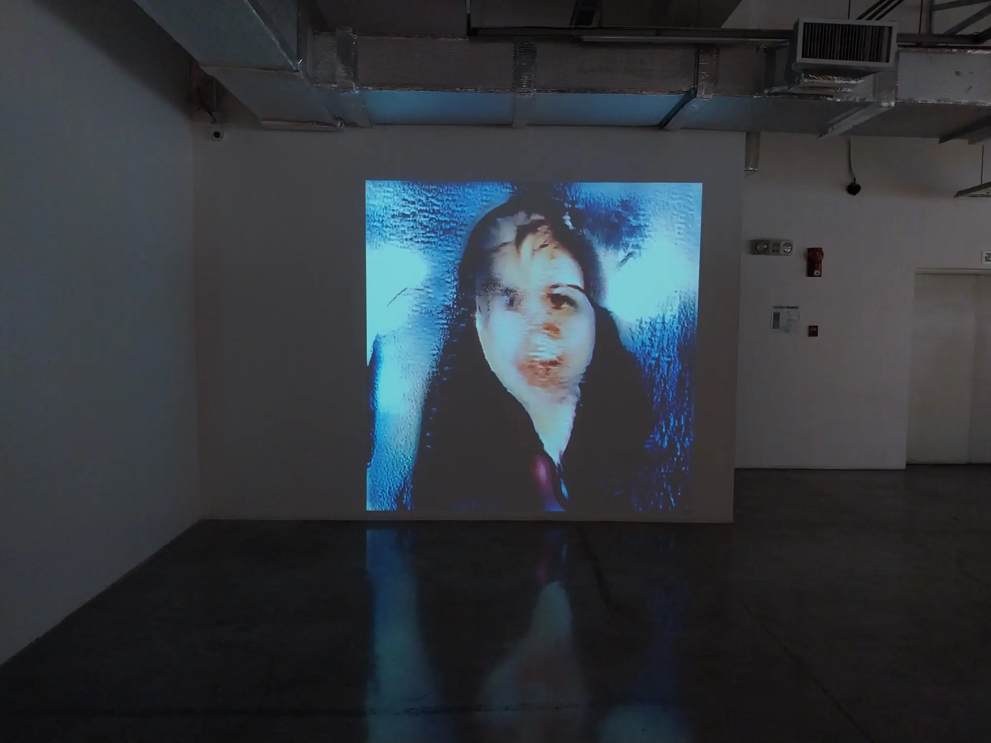 Christina Lopez’s “Portraits (Proxies)."