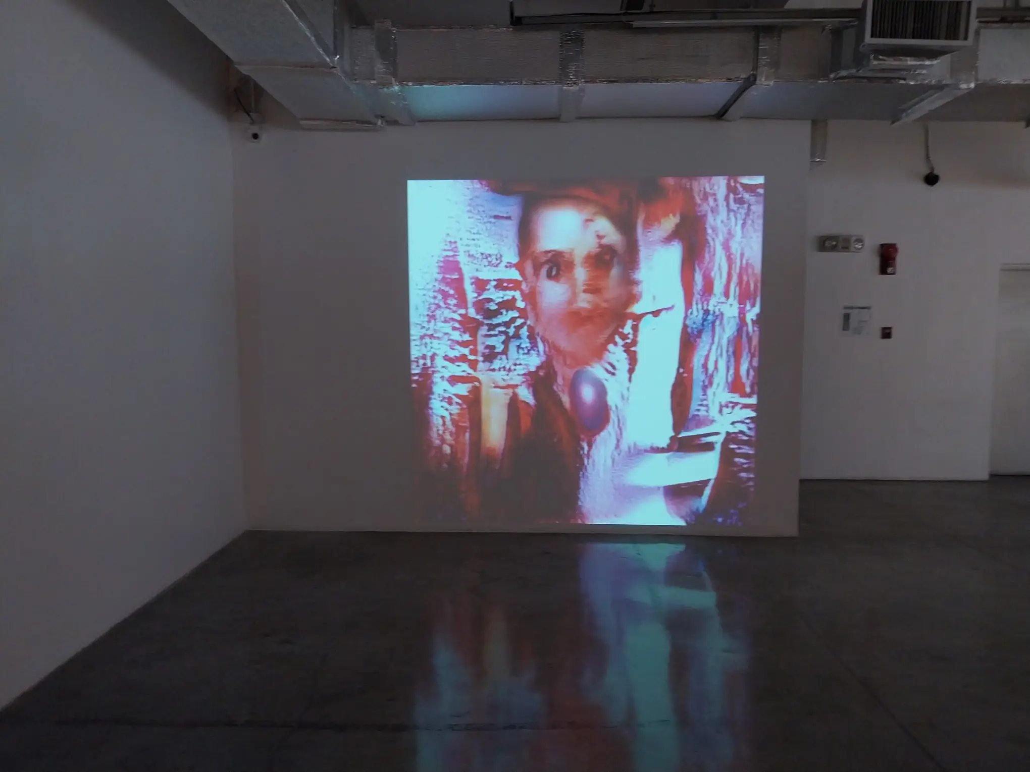 Christina Lopez’s “Portraits (Proxies)" for "Moments of Delay" at MCAD Manila.