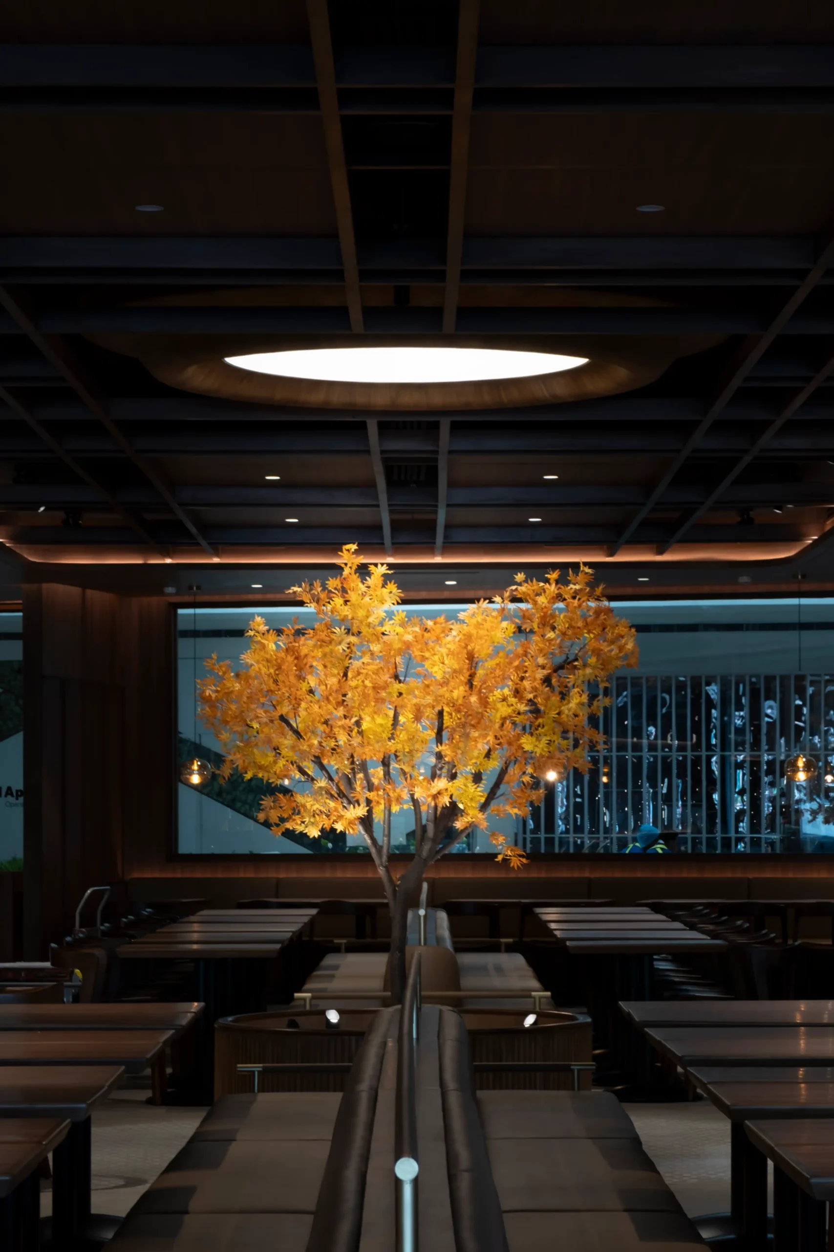 Kiwami MOA: A New Kind of Food Hall.