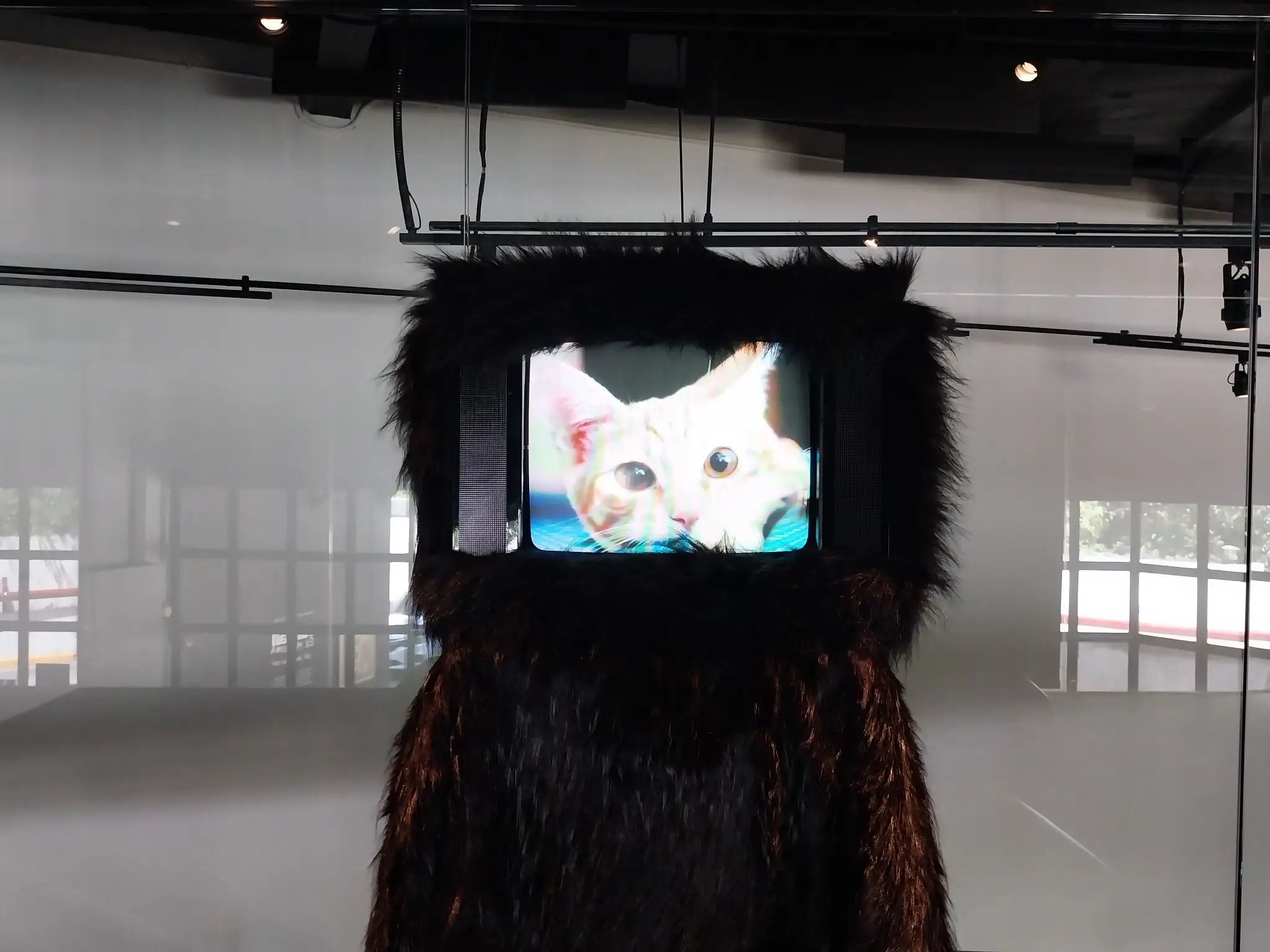 A television with a cat for "furball ex machina."