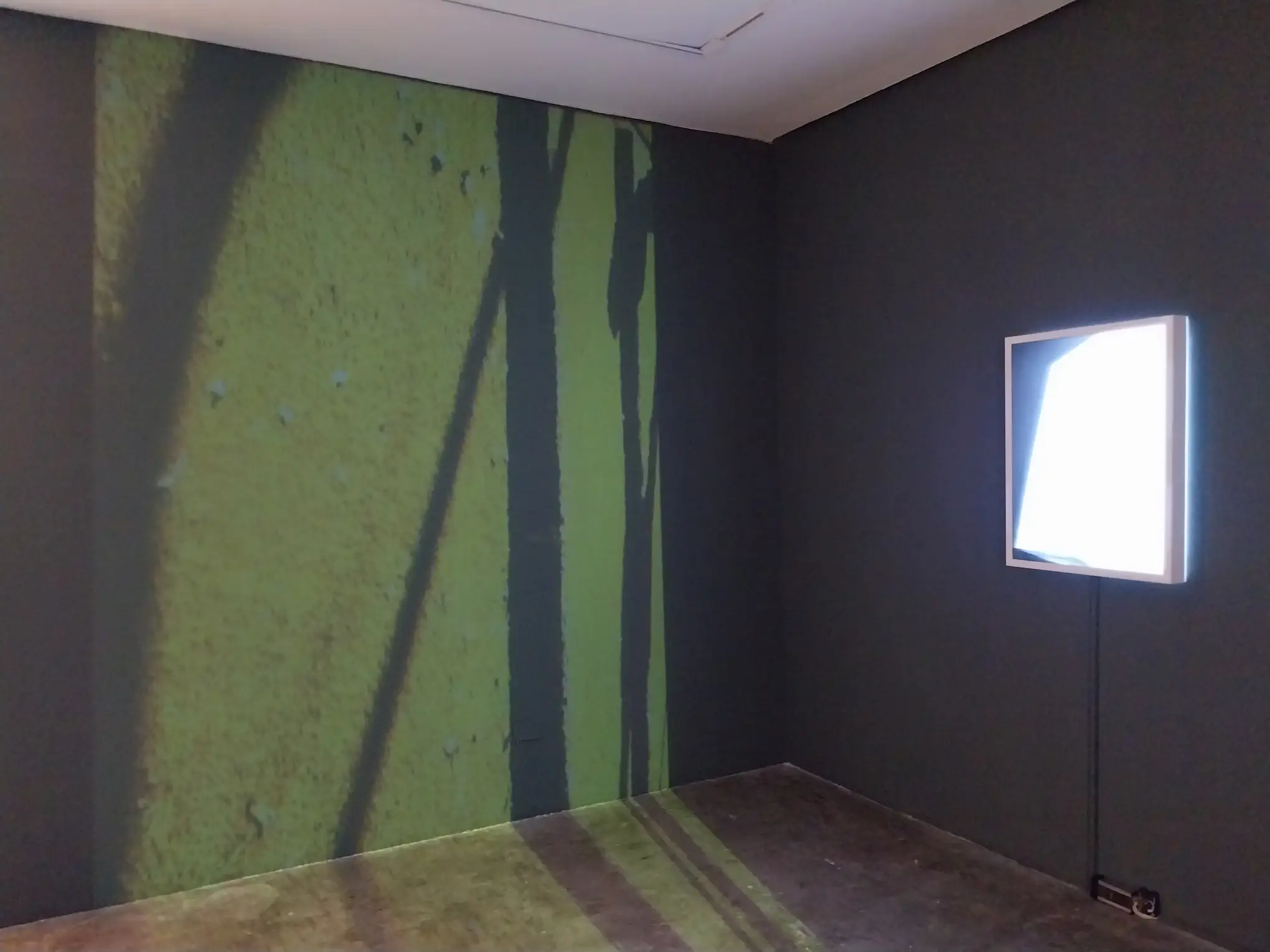 For our contemporary art roundup, a projection of plant life in Rhaz Oriente's "parallax, a trace."