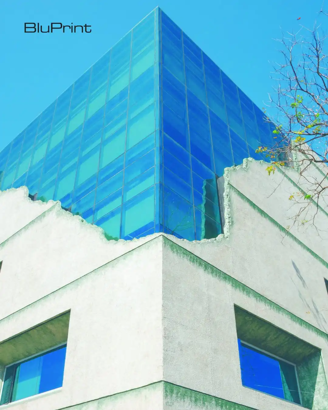 The Bunker’s exterior embodies two significant narratives—the peninsula’s rich history, reflected in its faux concrete ruins, and the realization of its vision, symbolized by the glazed glass facade.