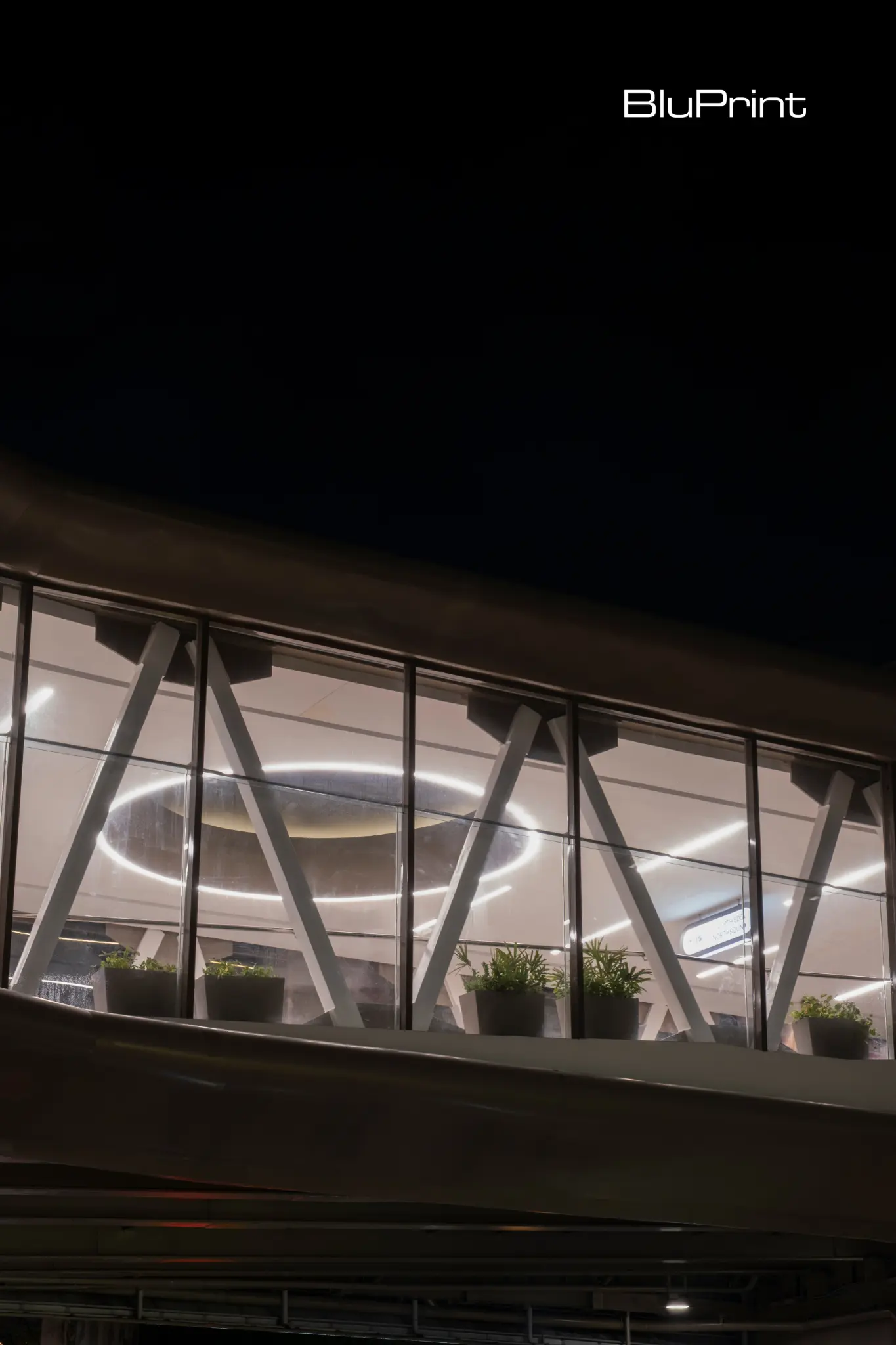 Stride Royal Pineda+.