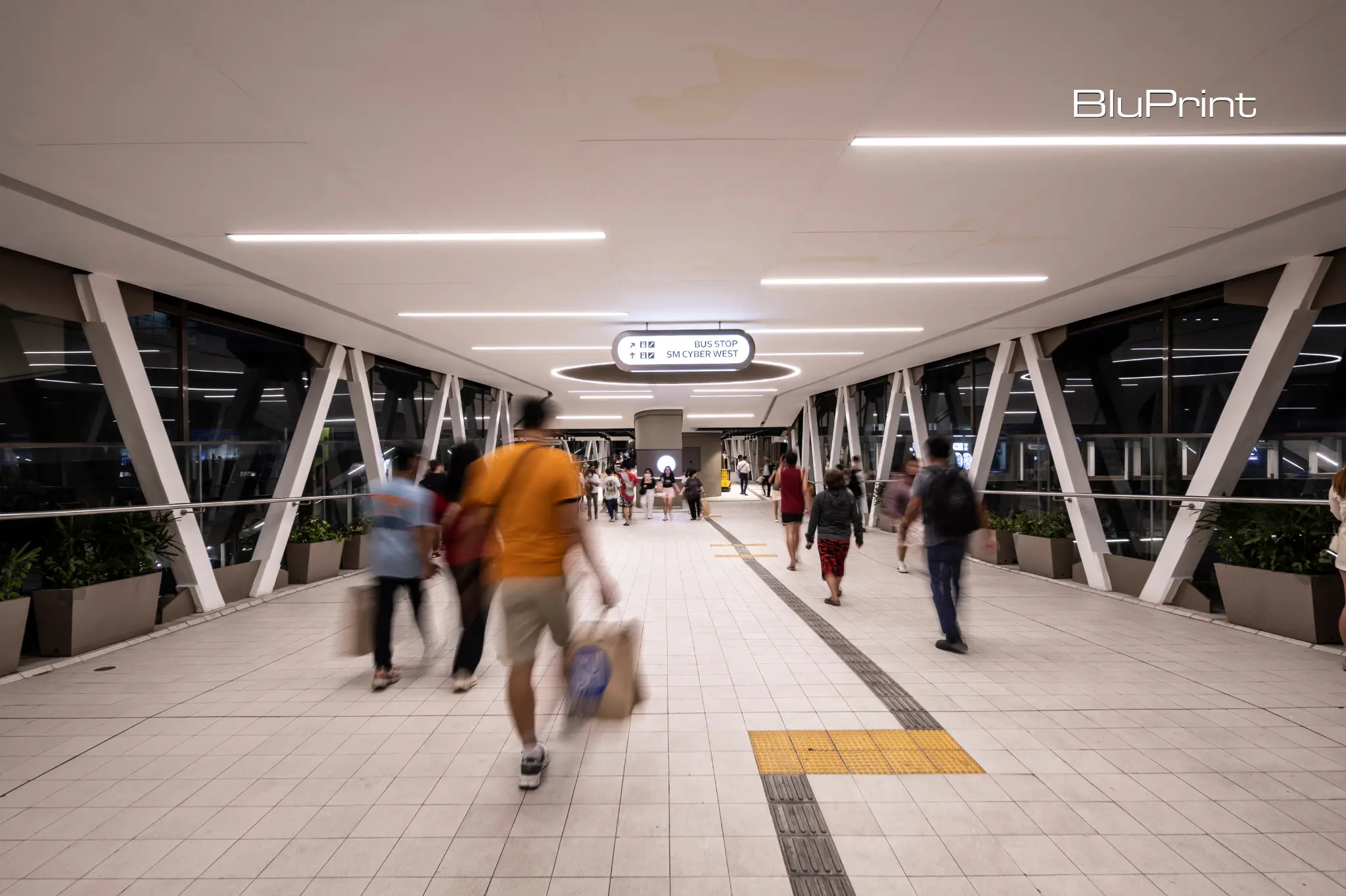 Stride Royal Pineda+.