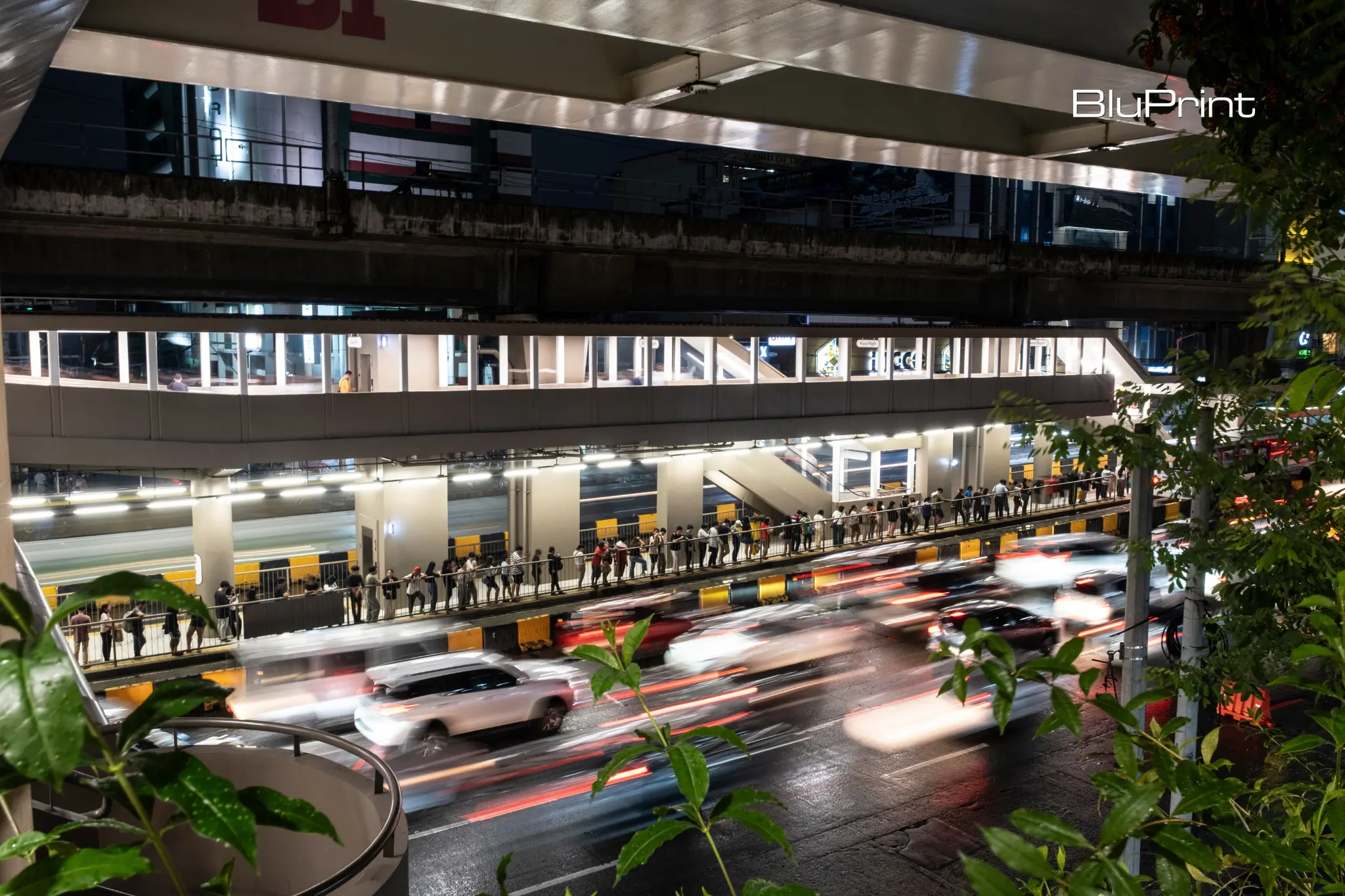 Stride Royal Pineda+.