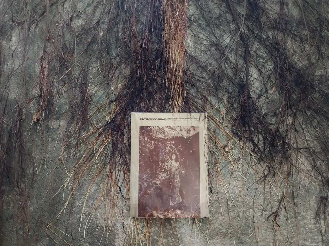 A poster of Junyee underneath natural growth in Calle Wright. It's one of the more site-specific ideas done for the exhibit.