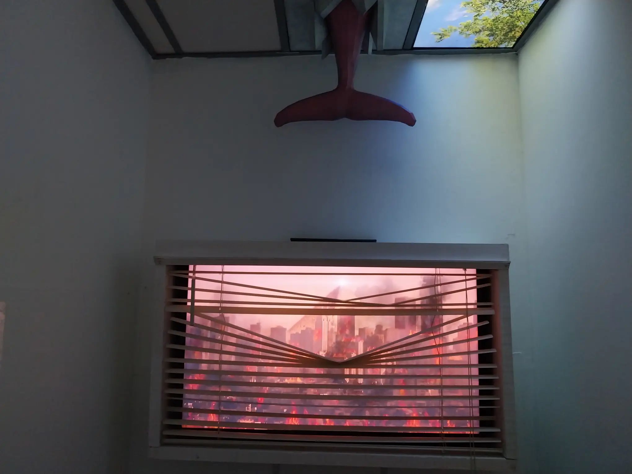 The screen and dolphin in Jose Olarte's exhibit at Gravity Art Space.