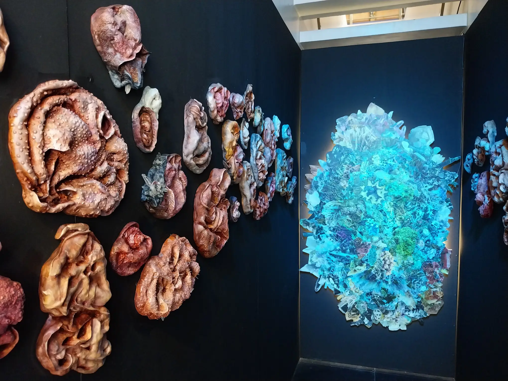 Finished artworks from Sam Feleo's "Cycles of Becoming."