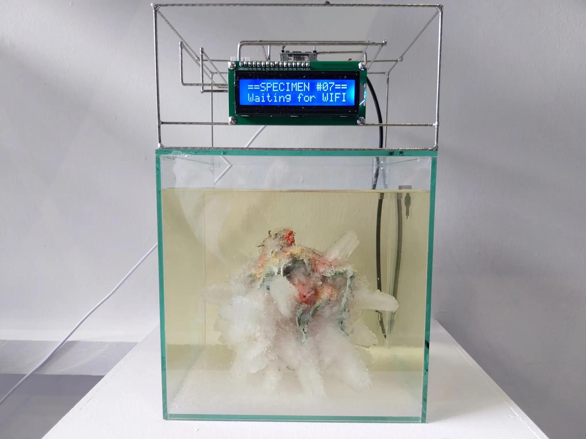 A sample box featured in "Cycles of Becoming," one of the art exhibitions featured in BluPrint's Year-End roundup.