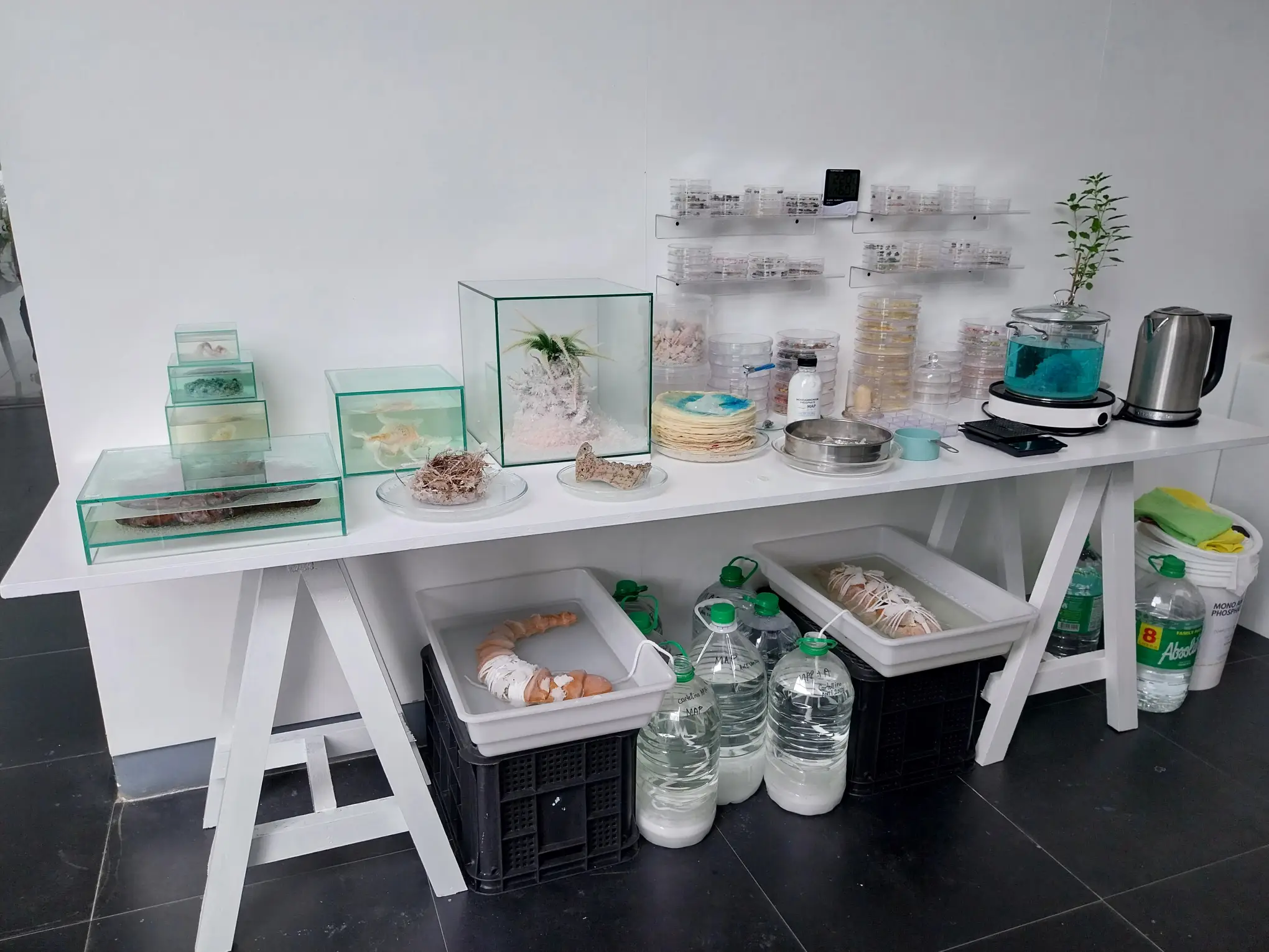 Equipment for Sam Feleo's artwork for "Cycles of Becoming."