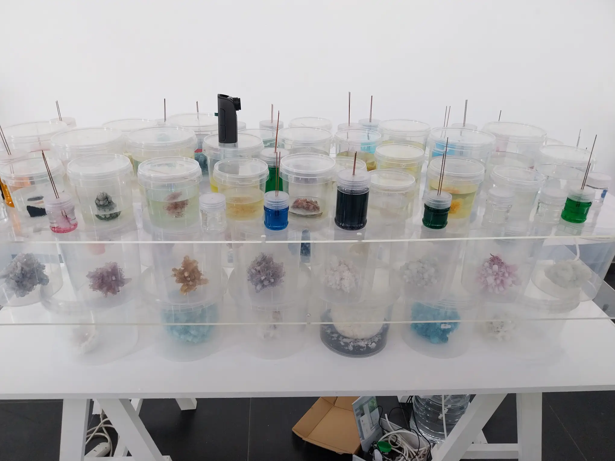 Different sample boxes shown in "Cycles of Becoming," one of the art exhibitions featured in BluPrint's Year-End roundup.