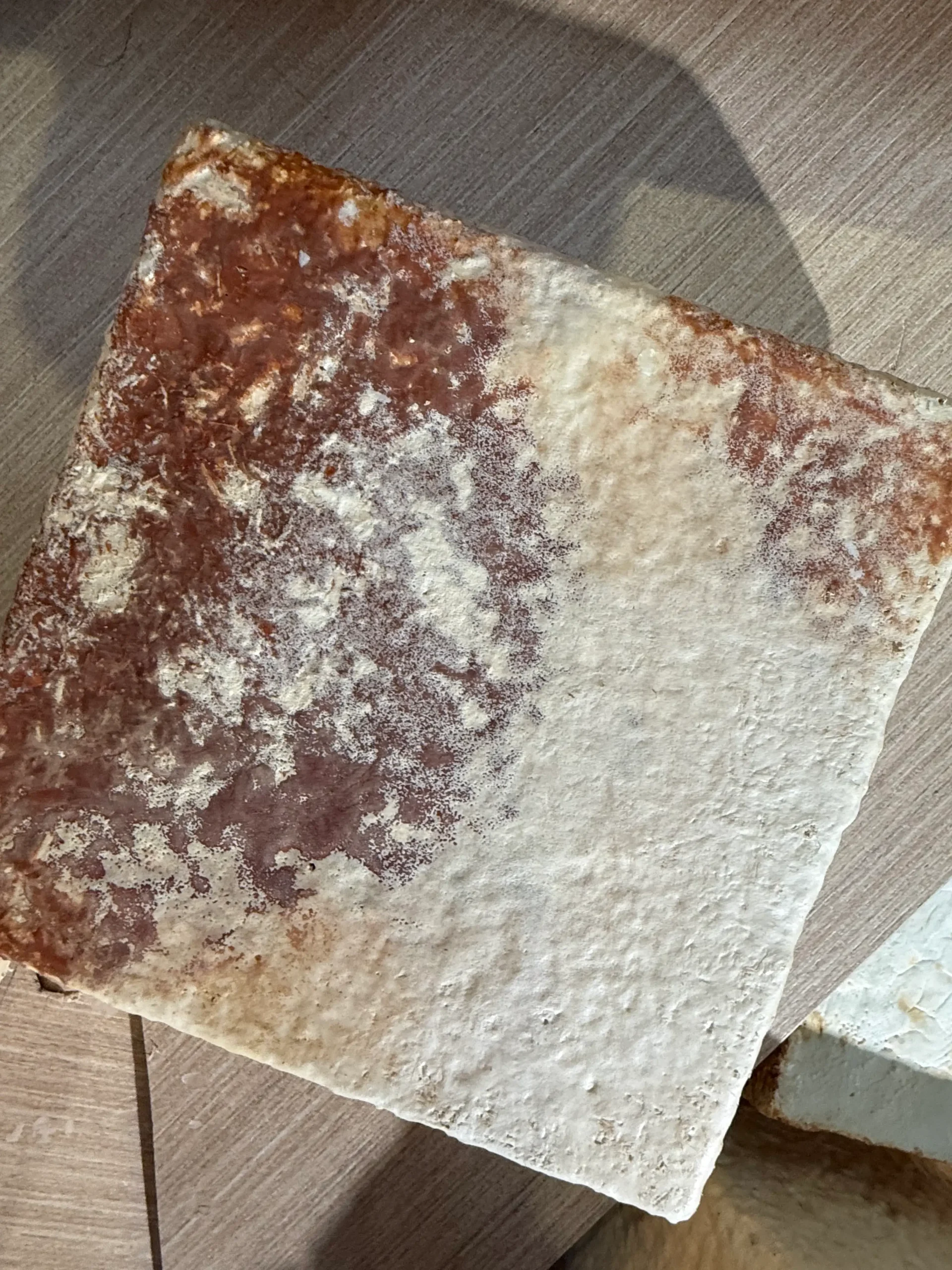 Sanctuary of Becoming by Ciane Xavier